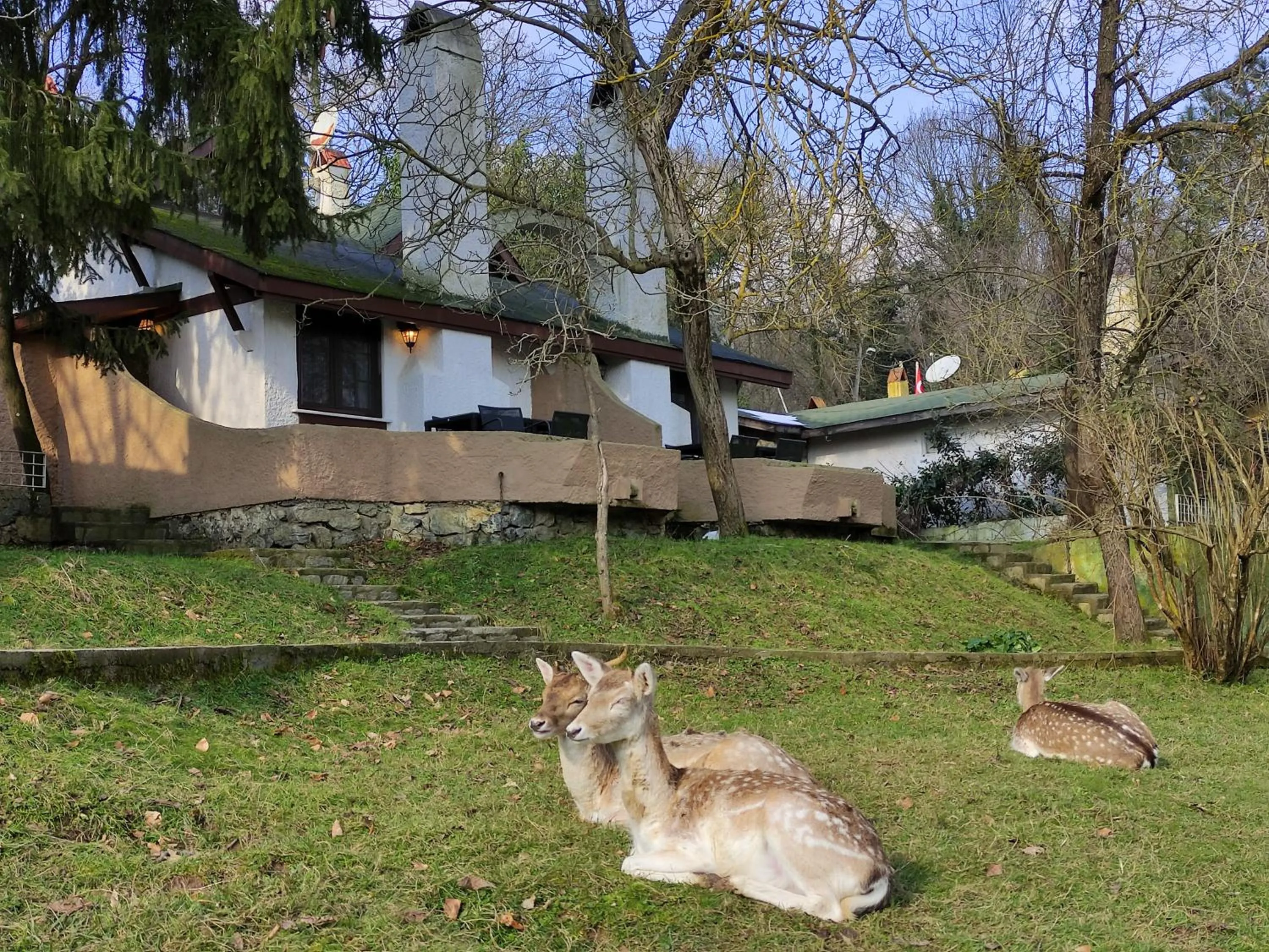 Patio in Polonezköy Country Club & Accommodation in the Wildlife Park!