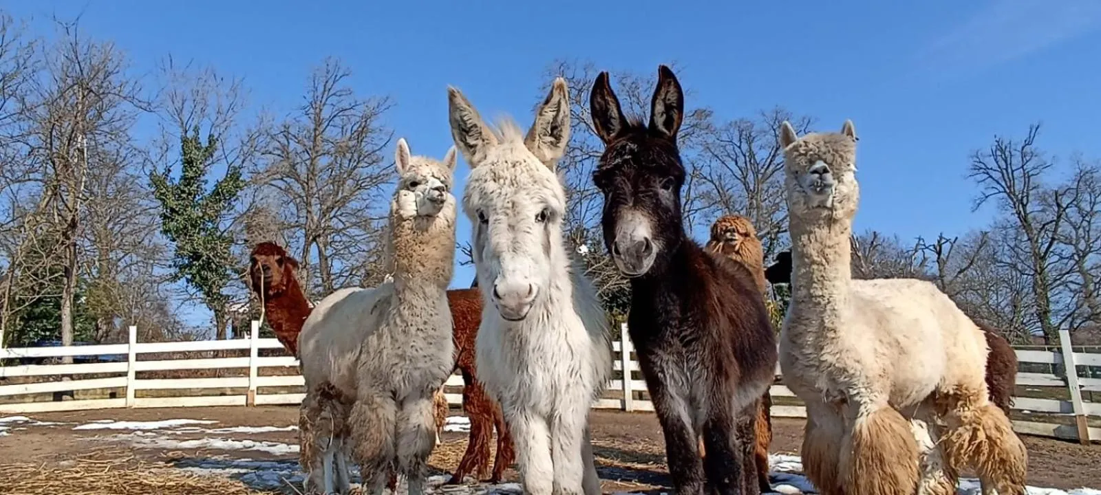 Property building in Polonezköy Country Club & Accommodation in the Wildlife Park!