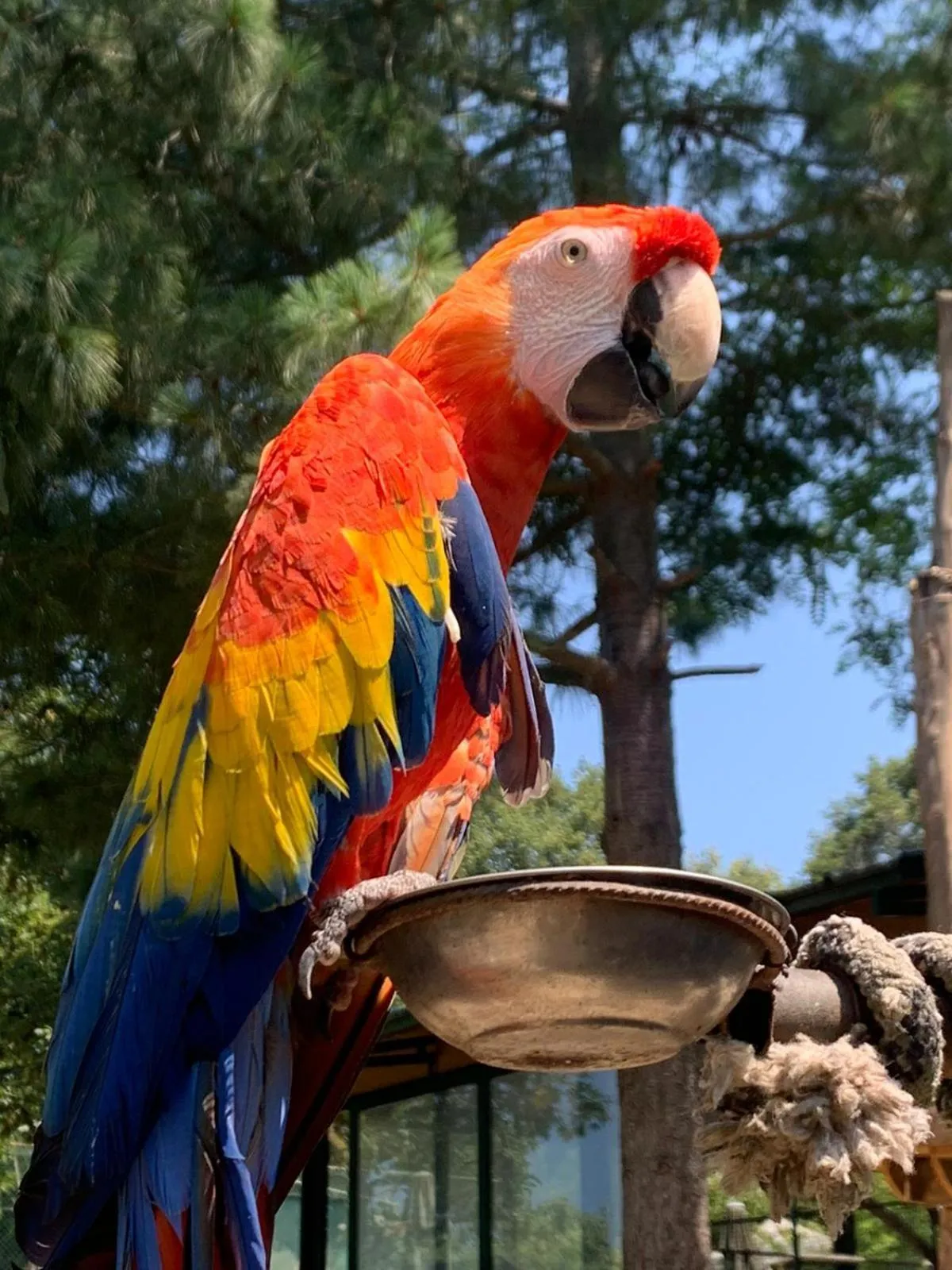 Animals in Polonezköy Country Club & Accommodation in the Wildlife Park!