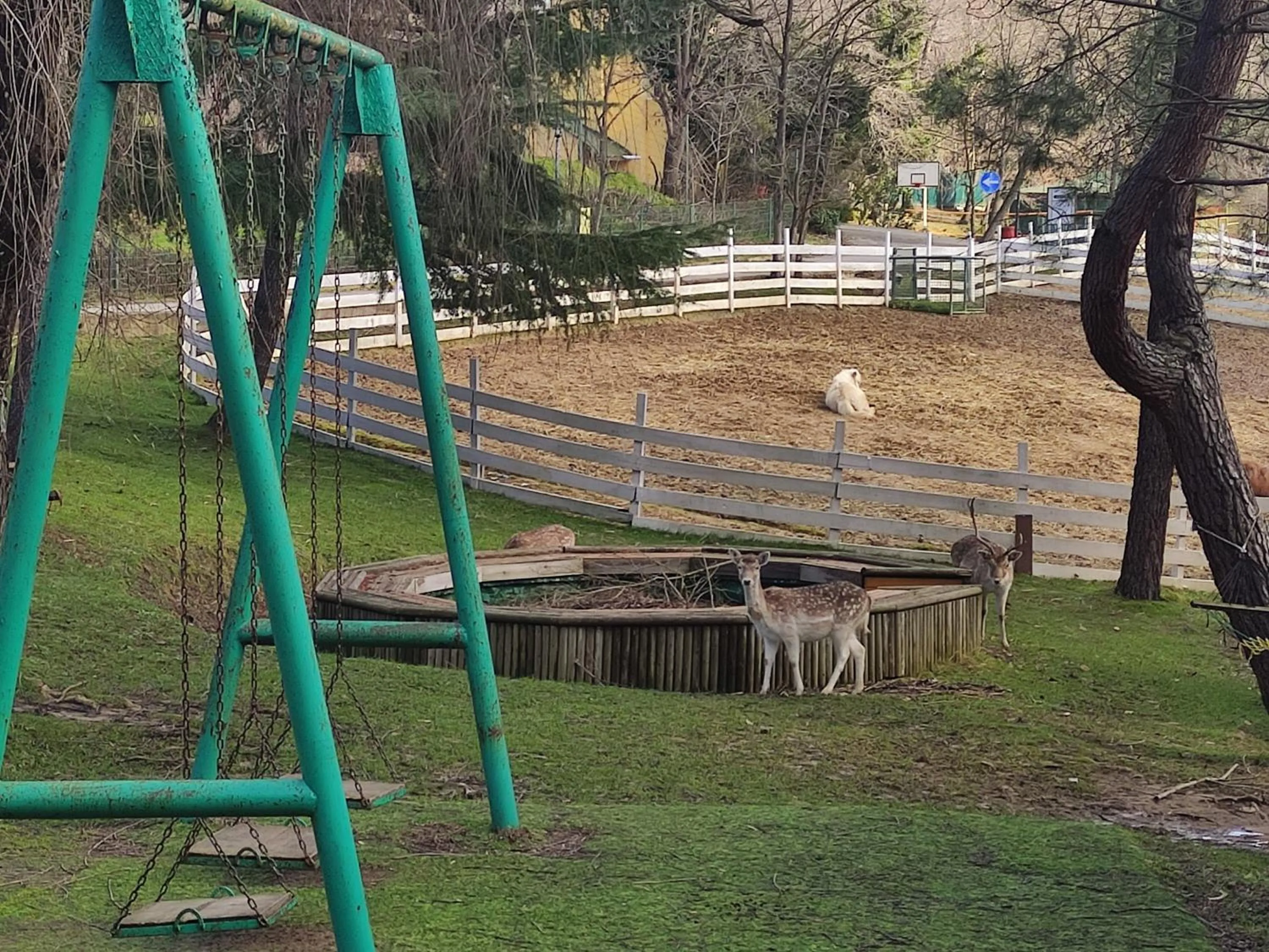 Children play ground in Polonezköy Country Club & Accommodation in the Wildlife Park!