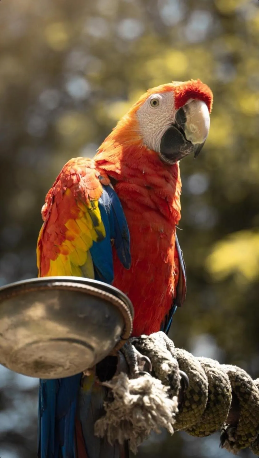 Animals in Polonezköy Country Club & Accommodation in the Wildlife Park!