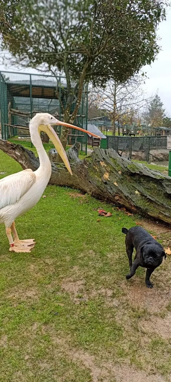 Property building in Polonezköy Country Club & Accommodation in the Wildlife Park!