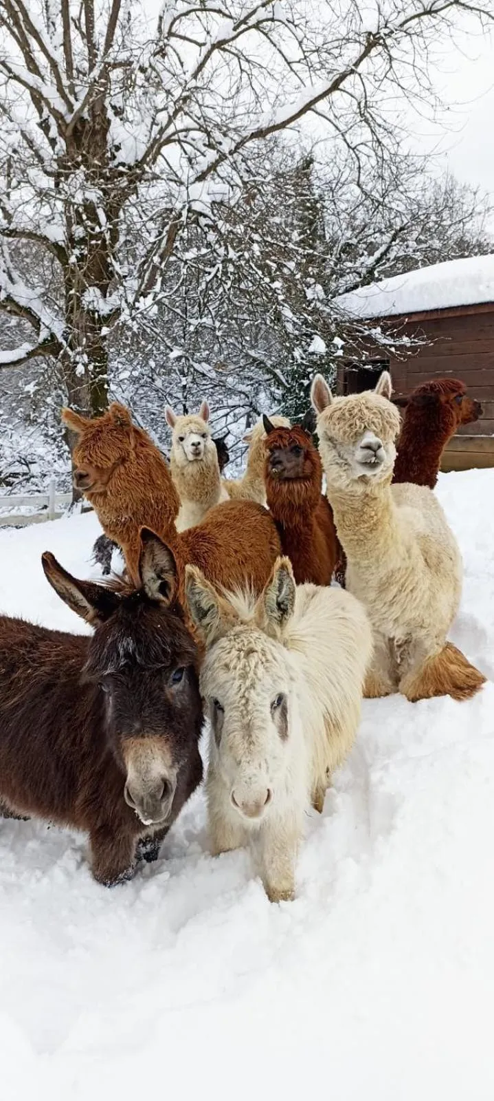 Property building in Polonezköy Country Club & Accommodation in the Wildlife Park!