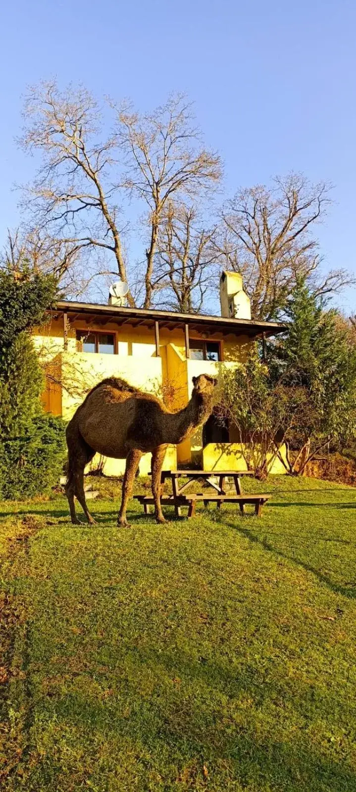 Budget Double Room in Polonezköy Country Club & Accommodation in the Wildlife Park! Budget Double Room in Polonezköy Country Club & Accommodation in the Wildlife Park!