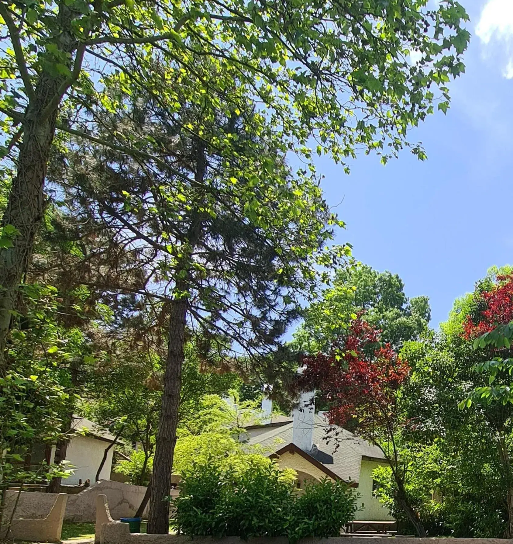 Villa in Polonezköy Country Club & Accommodation in the Wildlife Park! Villa in Polonezköy Country Club & Accommodation in the Wildlife Park!