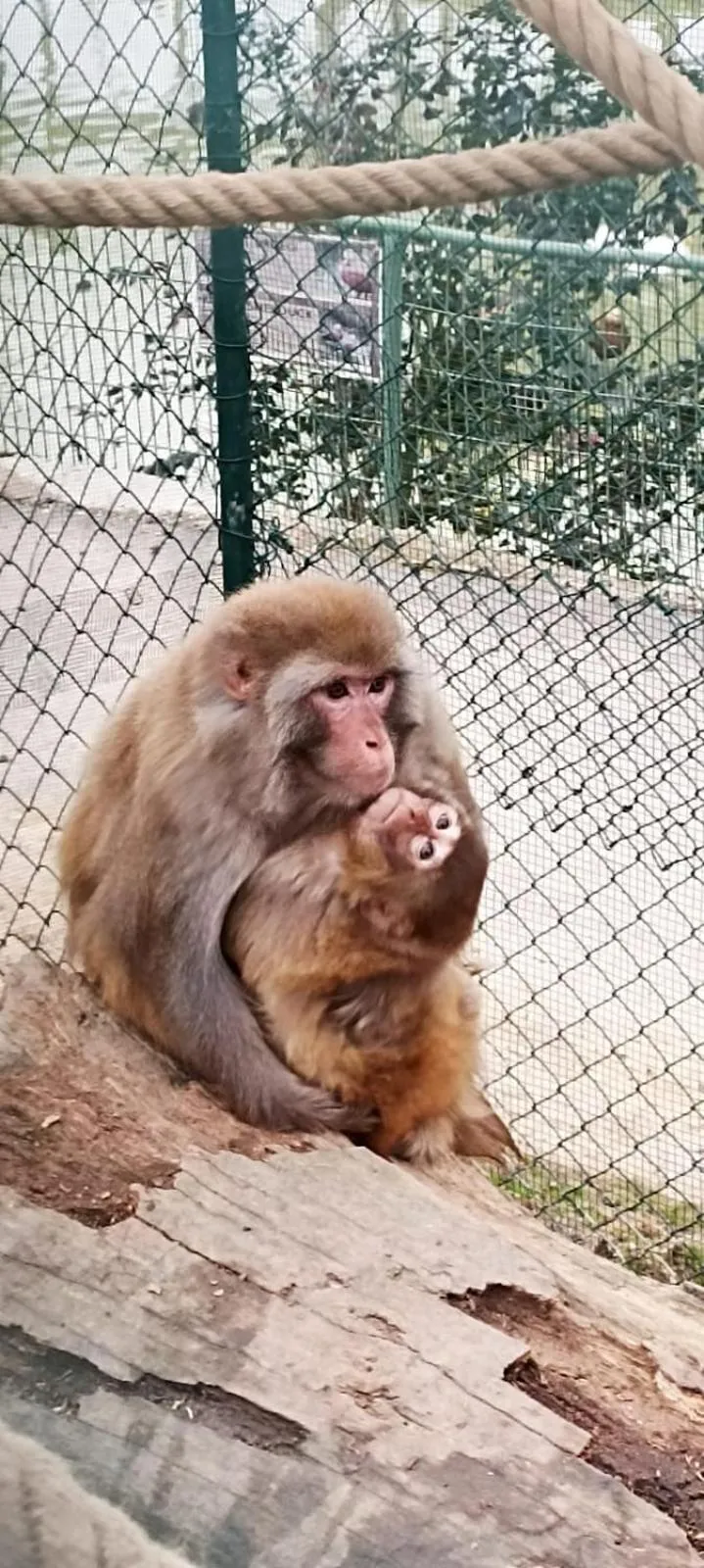 Property building in Polonezköy Country Club & Accommodation in the Wildlife Park!