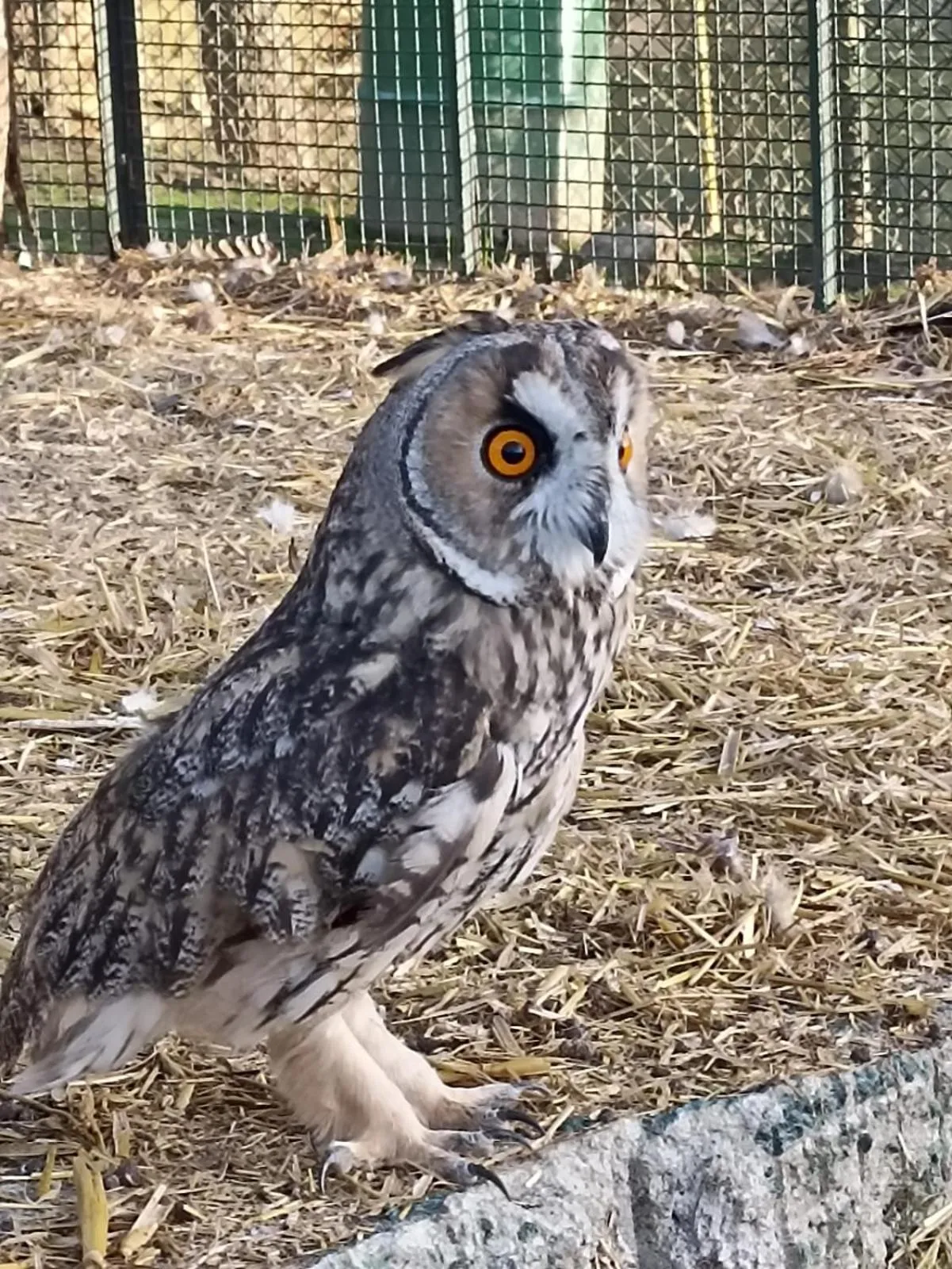 Property building in Polonezköy Country Club & Accommodation in the Wildlife Park!