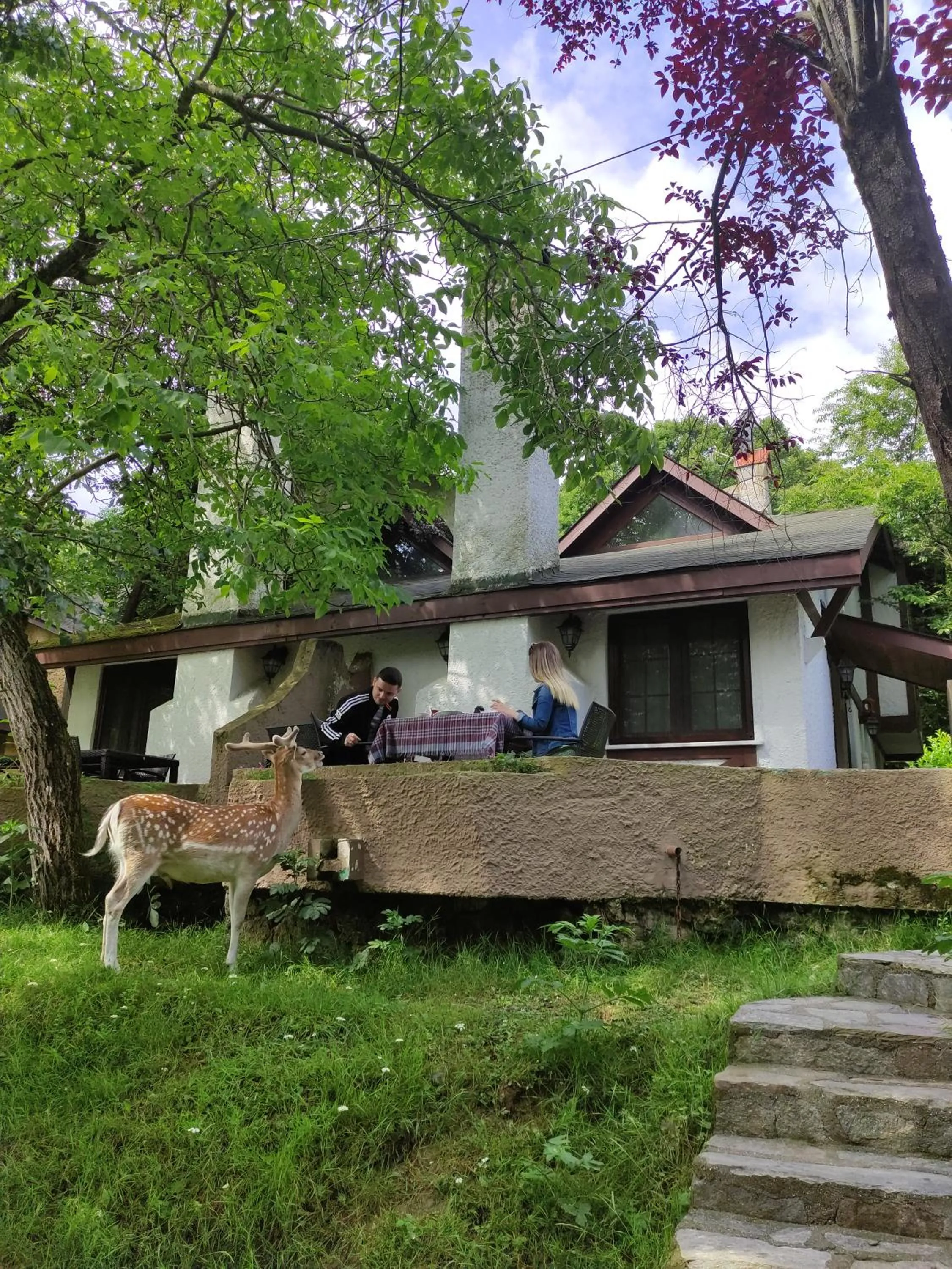 Animals in Polonezköy Country Club & Accommodation in the Wildlife Park!