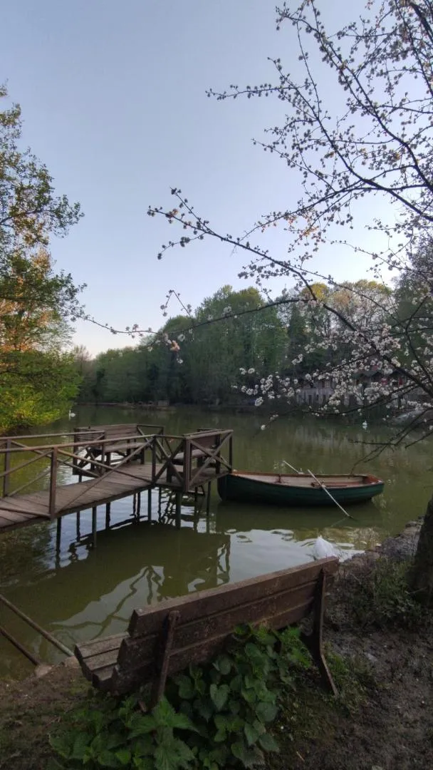 Patio in Polonezköy Country Club & Accommodation in the Wildlife Park!