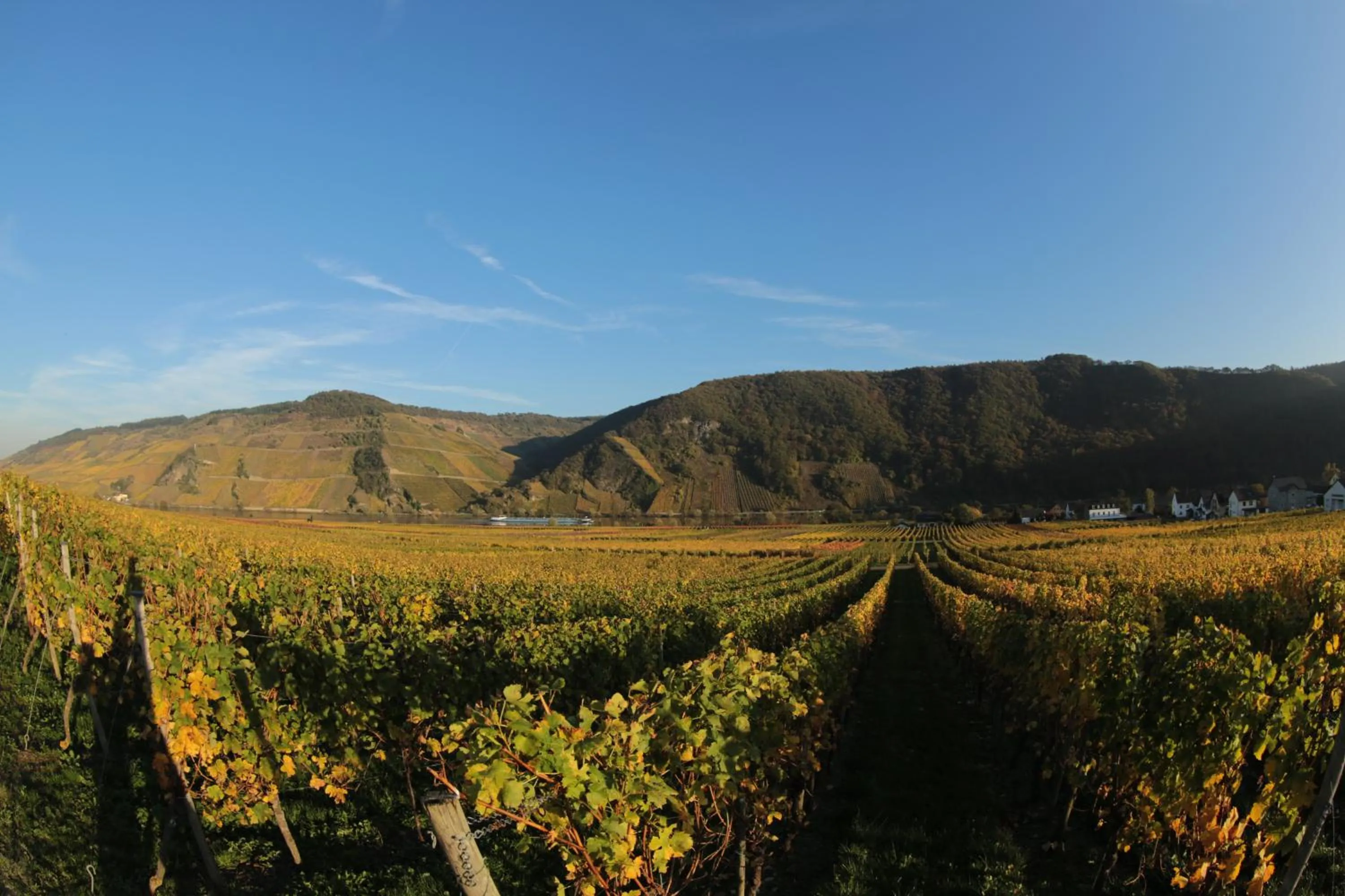 Natural landscape in Hotel zur Post