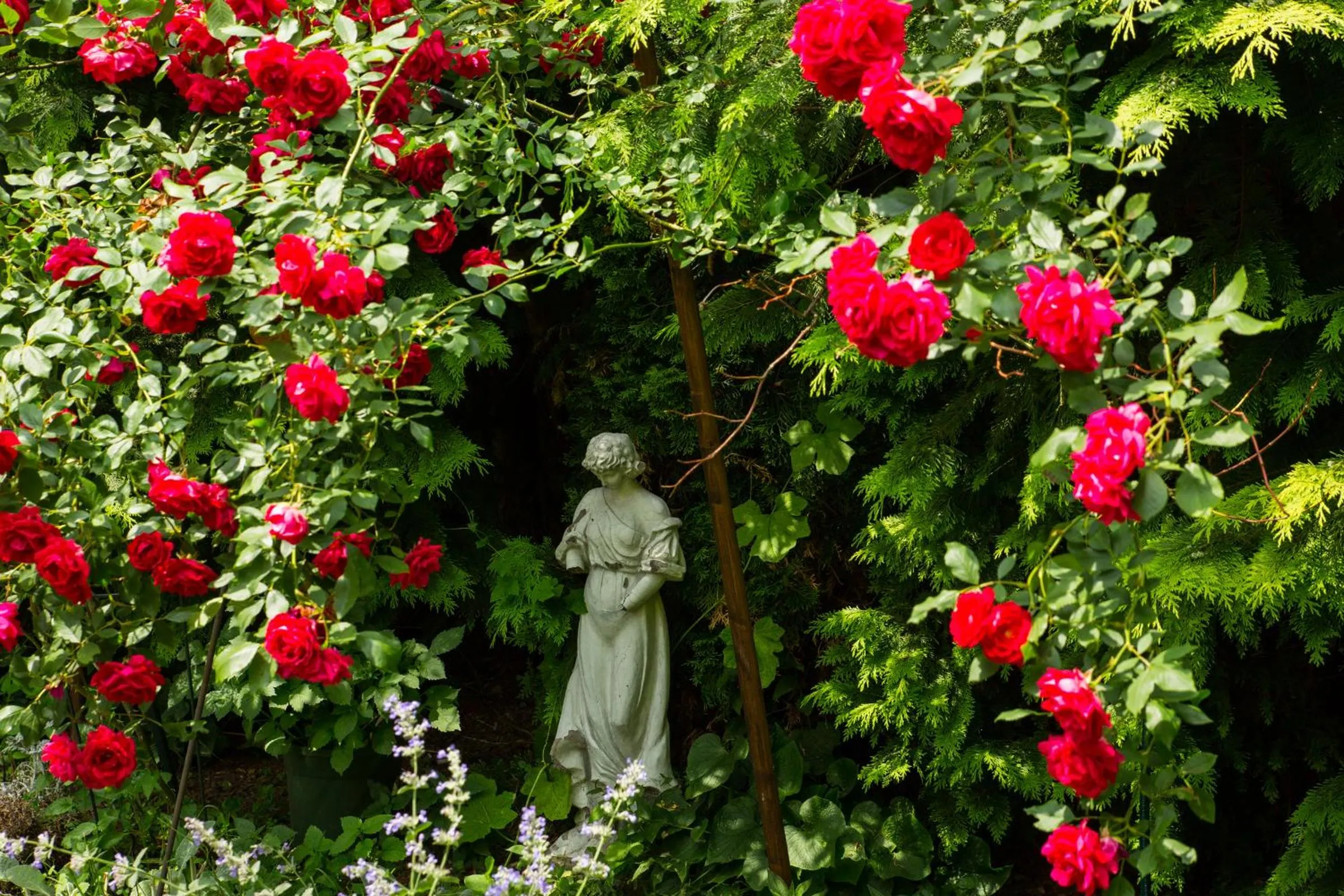 Garden in Hotel zur Post