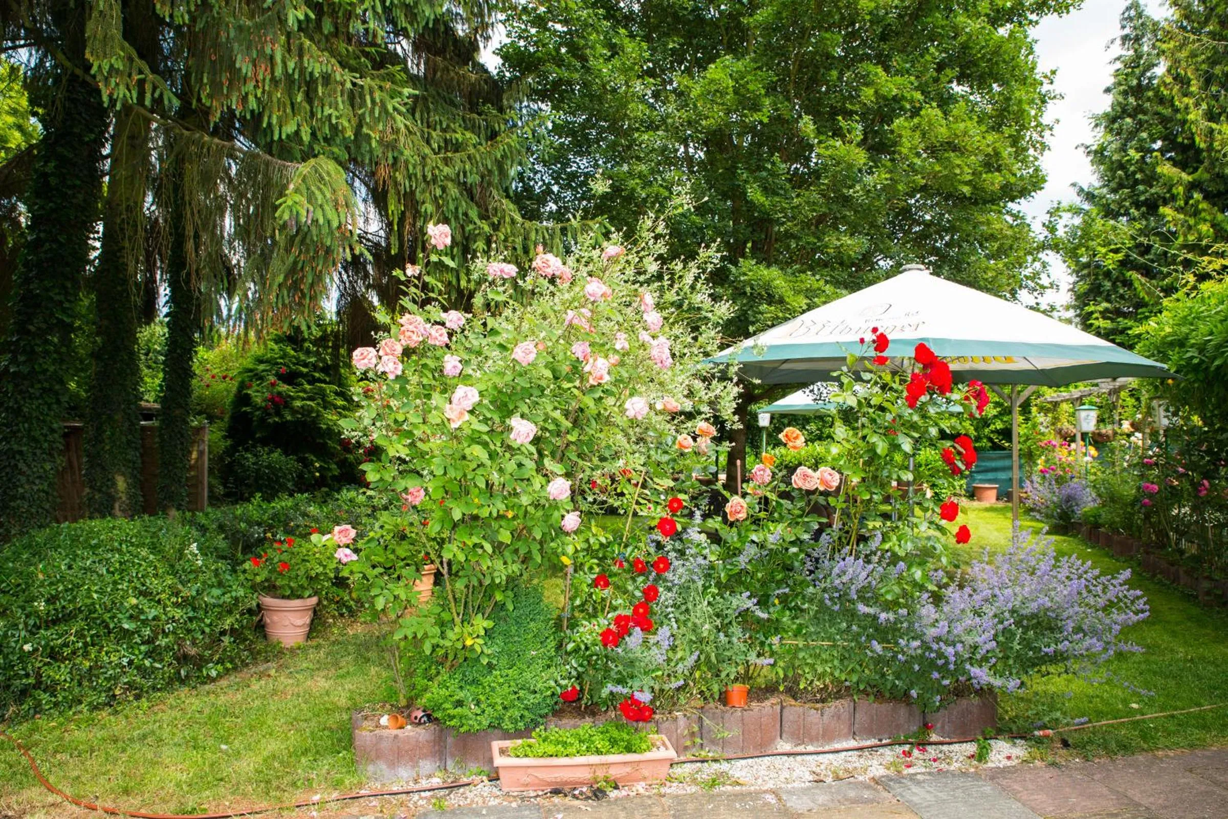 Garden in Hotel zur Post