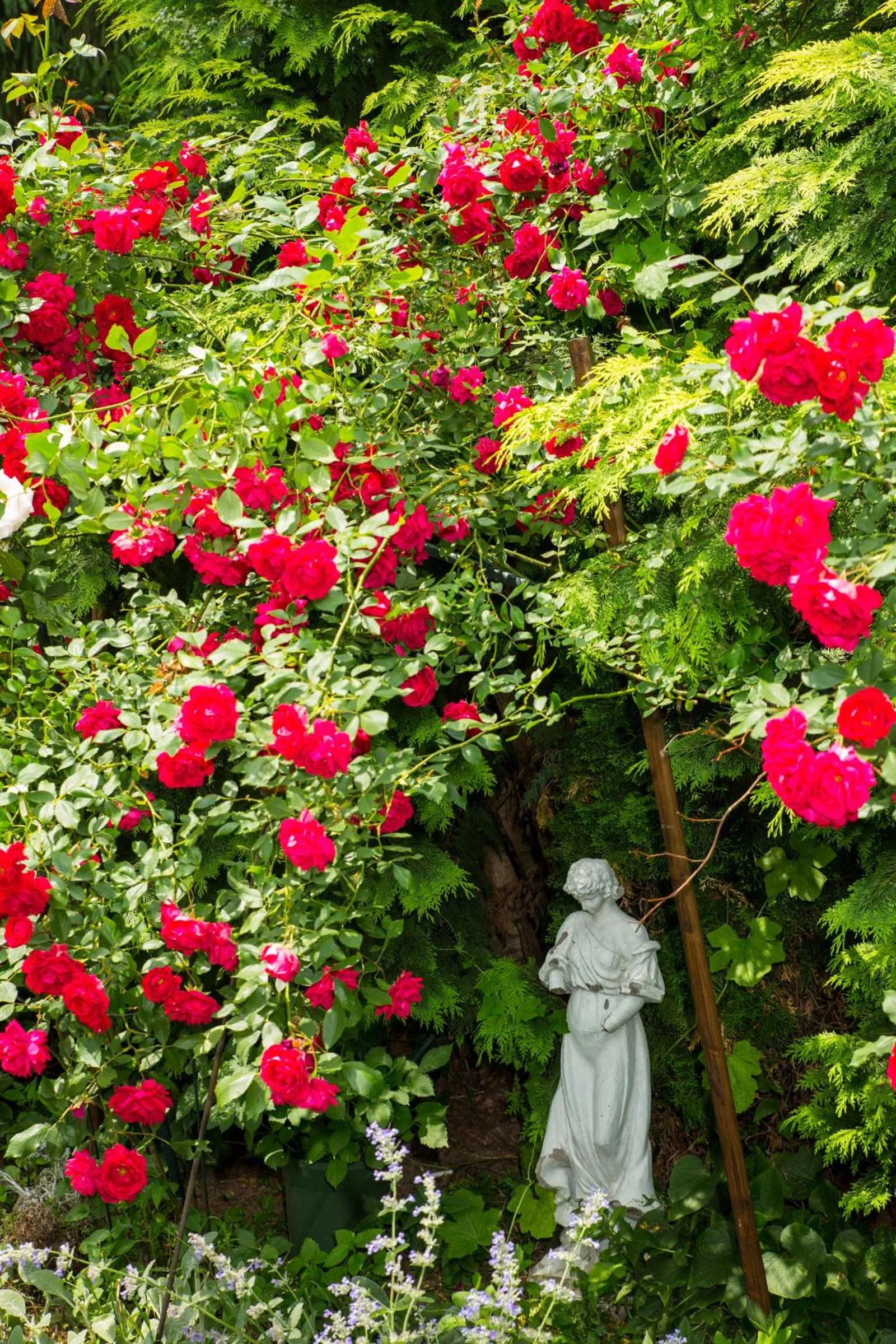 Garden in Hotel zur Post