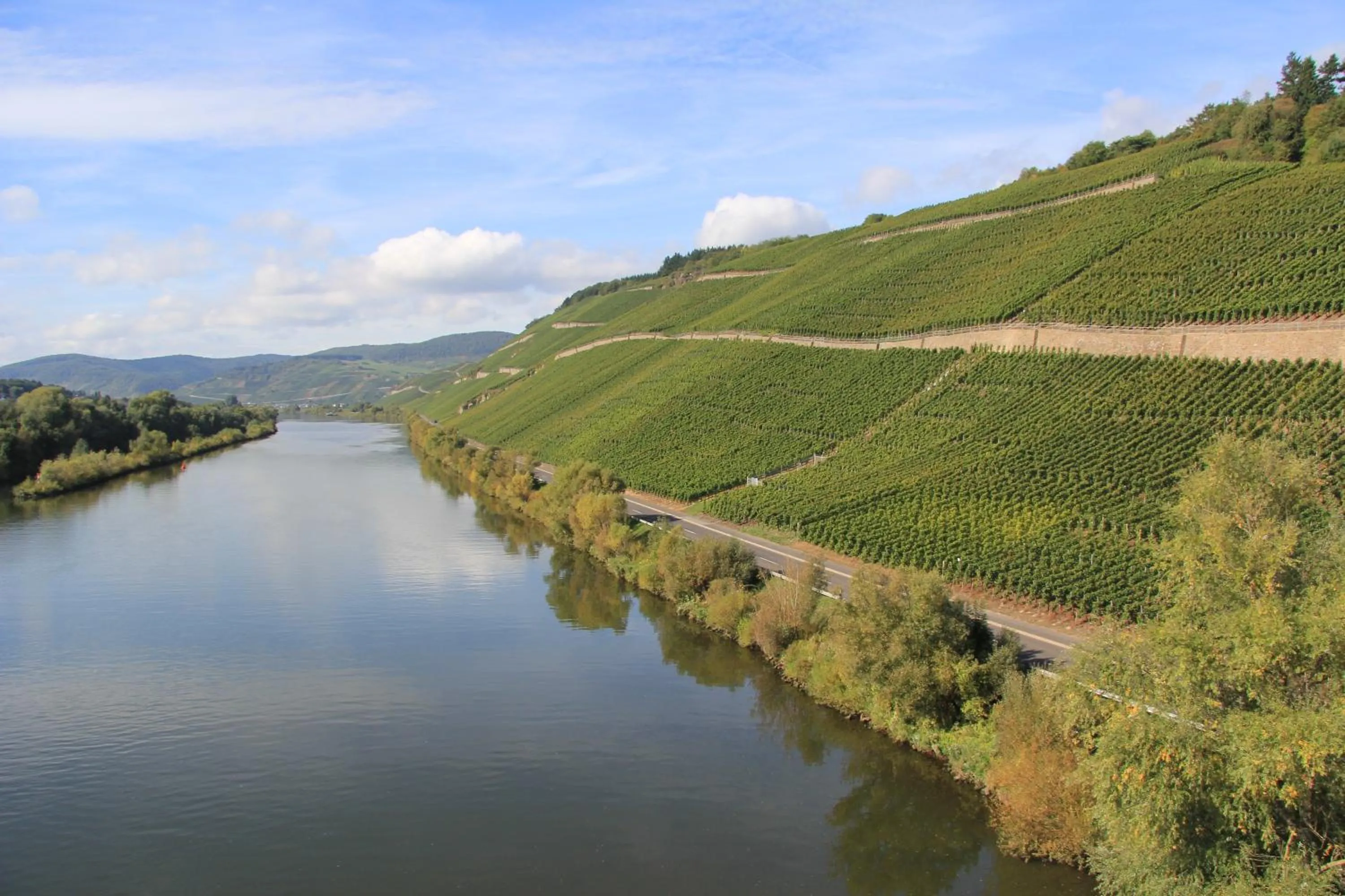 Natural landscape in Hotel zur Post