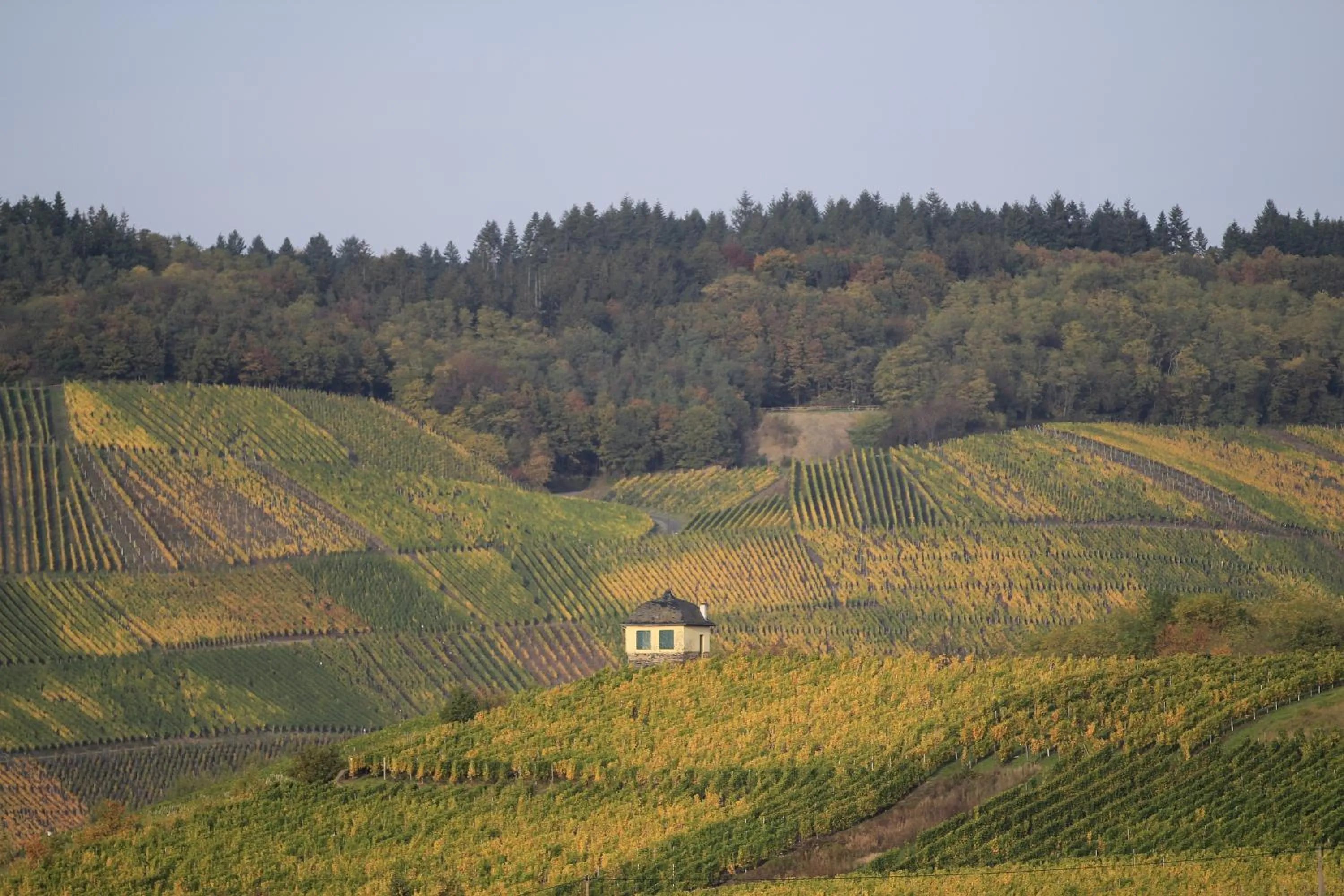 Natural landscape in Hotel zur Post