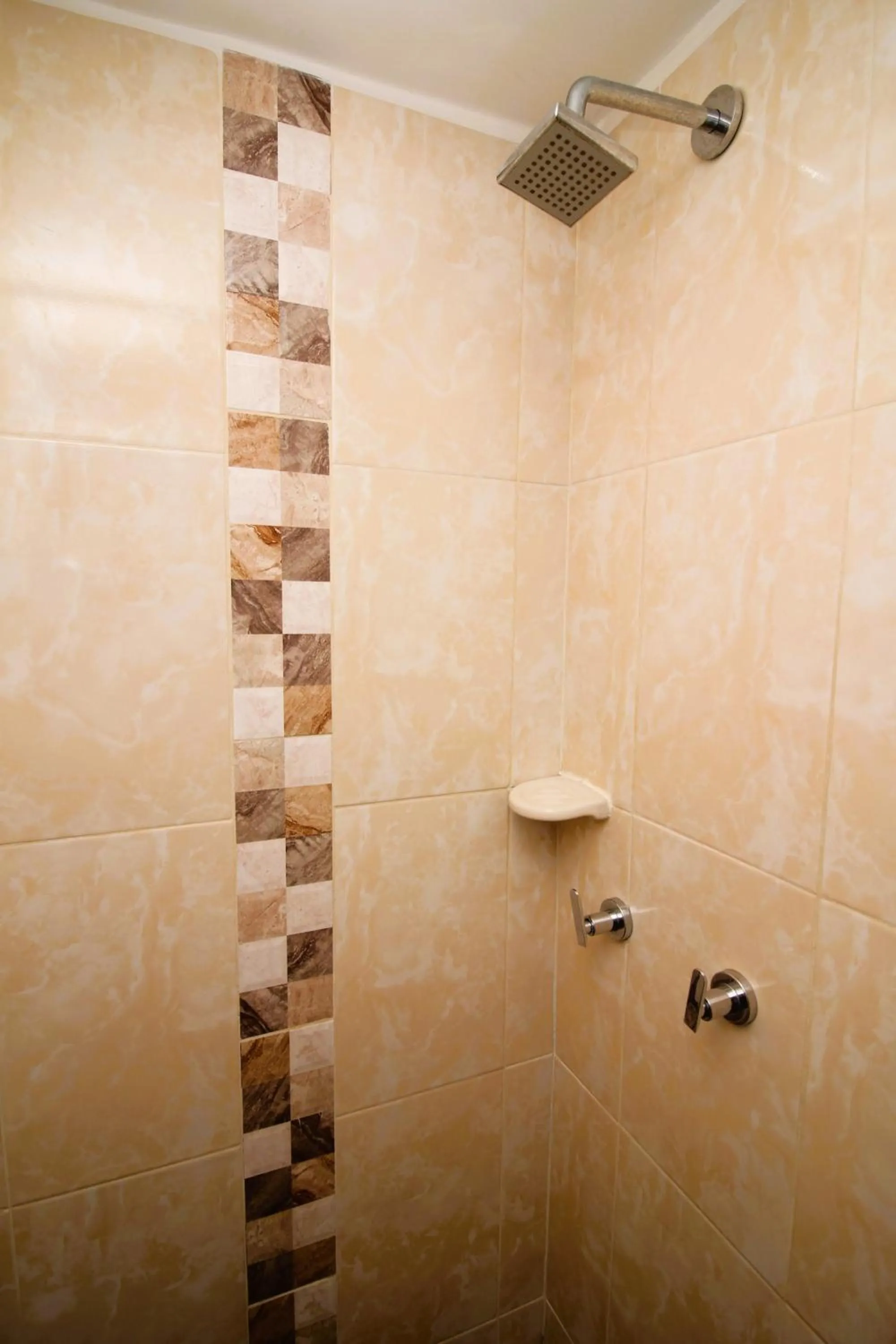 Shower in DAM Hotel Pereira