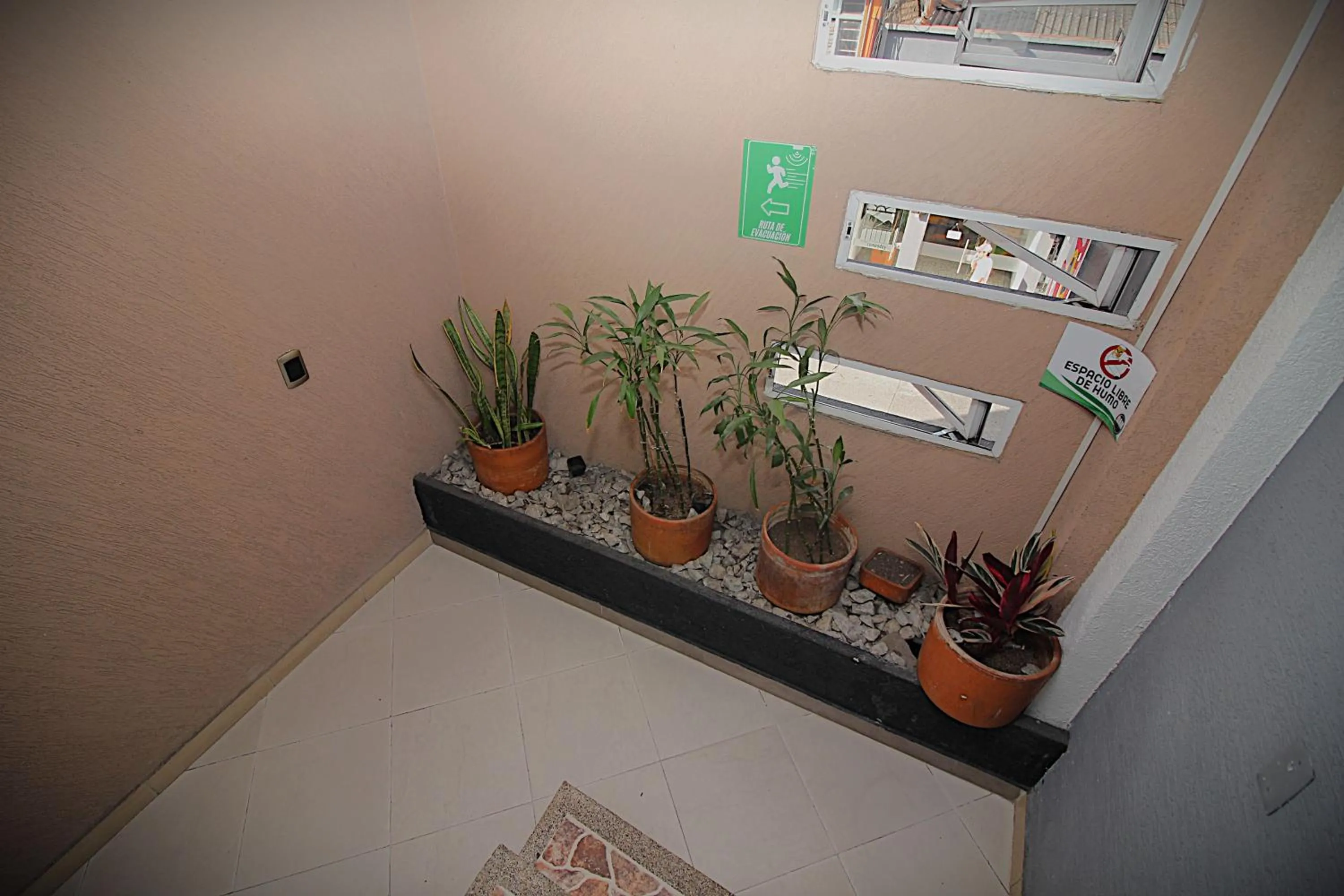 Garden in DAM Hotel Pereira