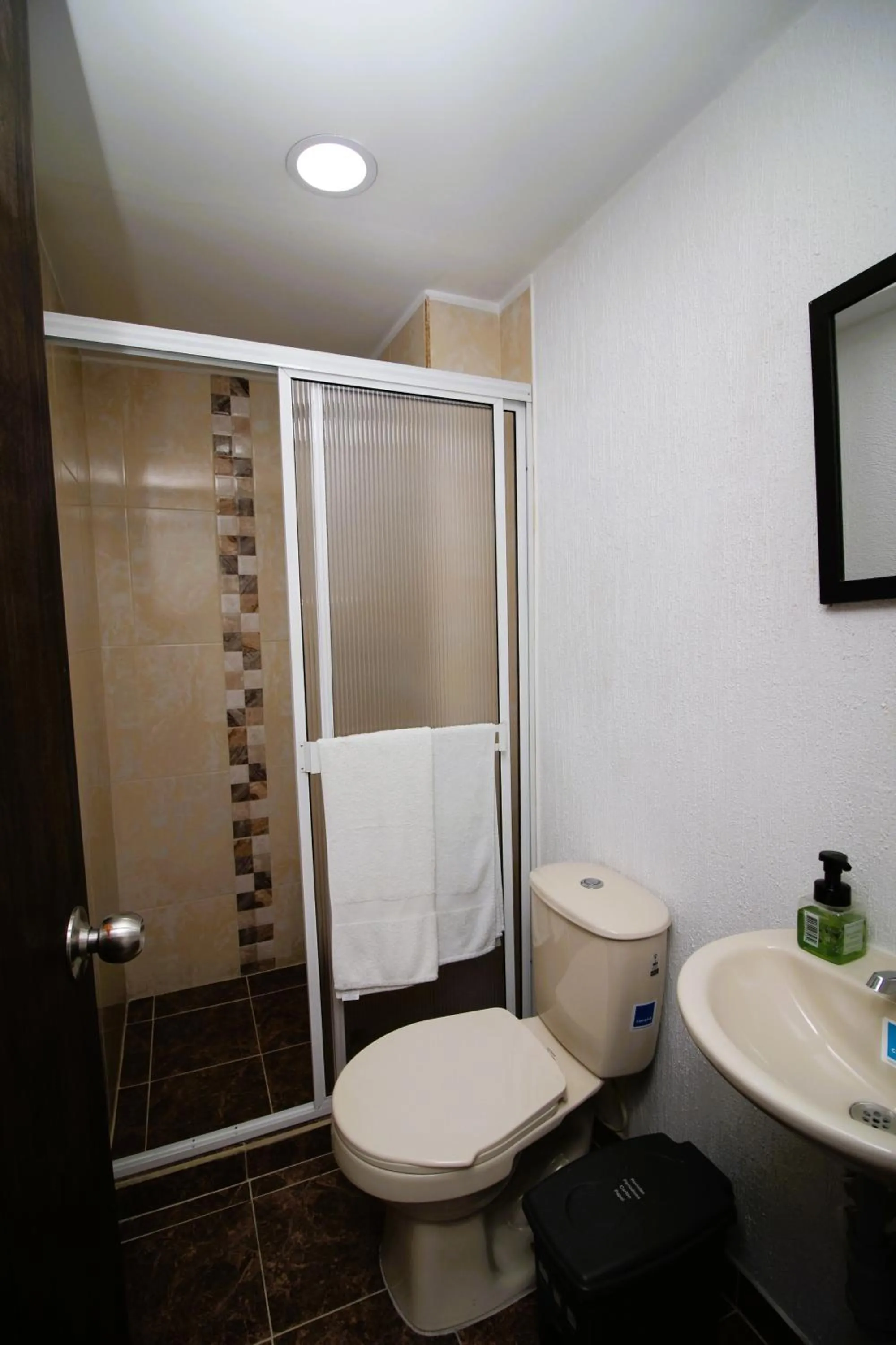 Shower in DAM Hotel Pereira