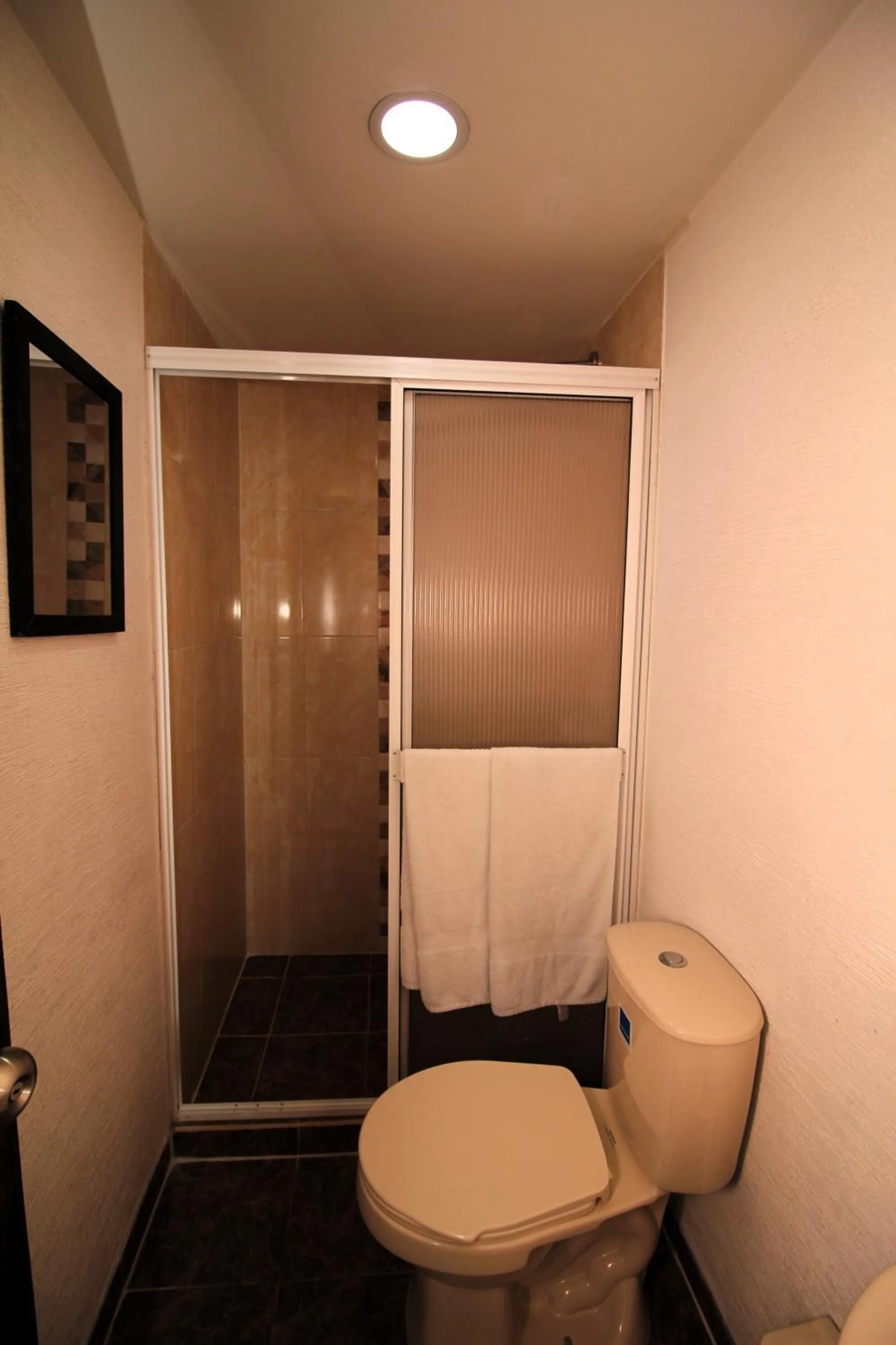 Shower in DAM Hotel Pereira