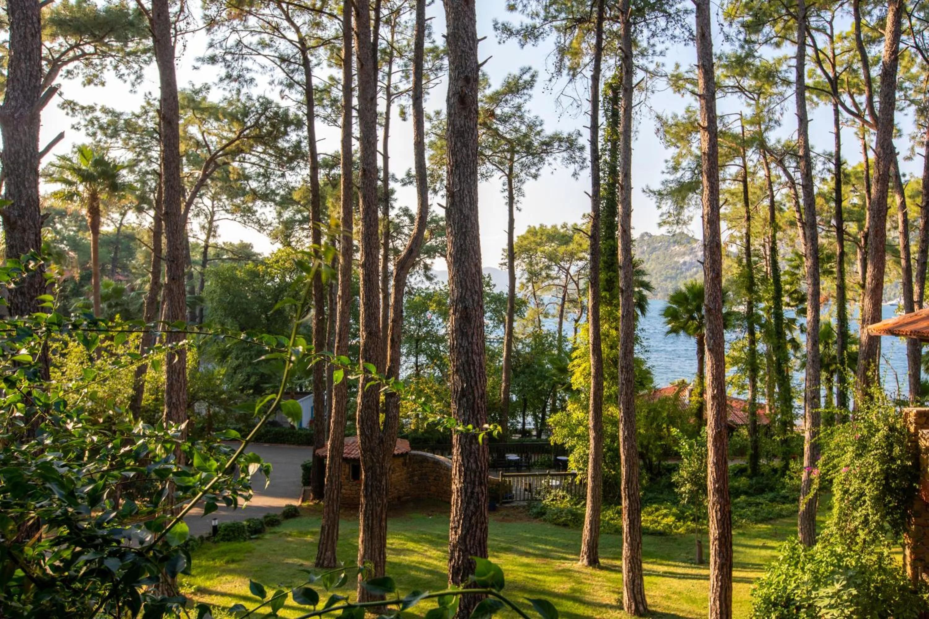 View (from property/room) in Marmaris Bay Resort - Adults Only