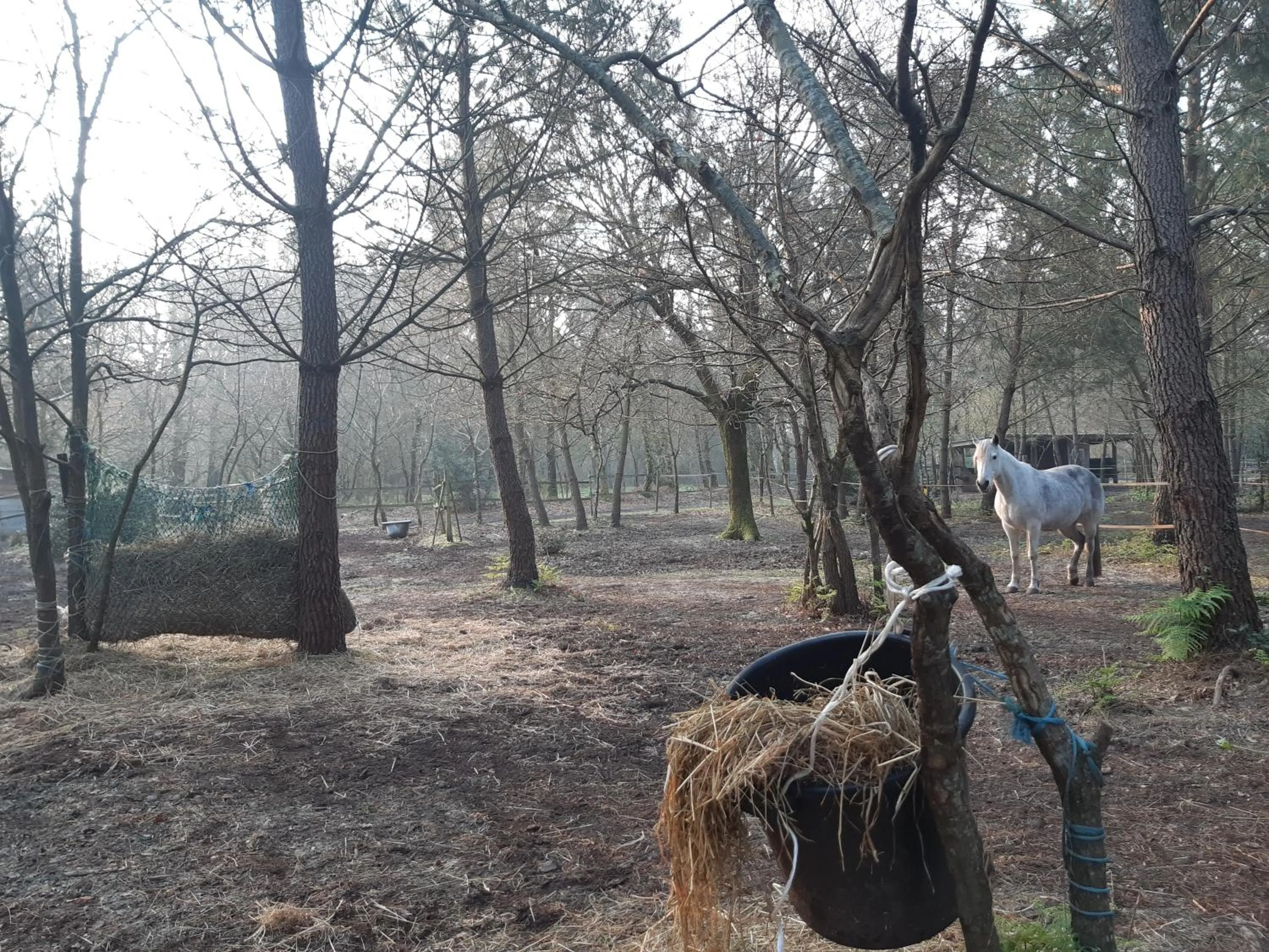 Animals in Domaine de l’Escuderia