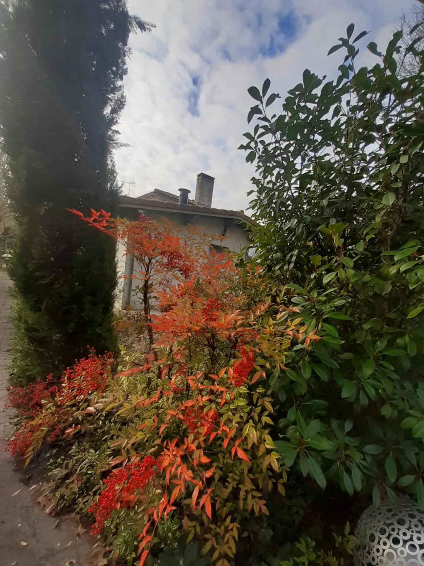Garden in Domaine de l’Escuderia
