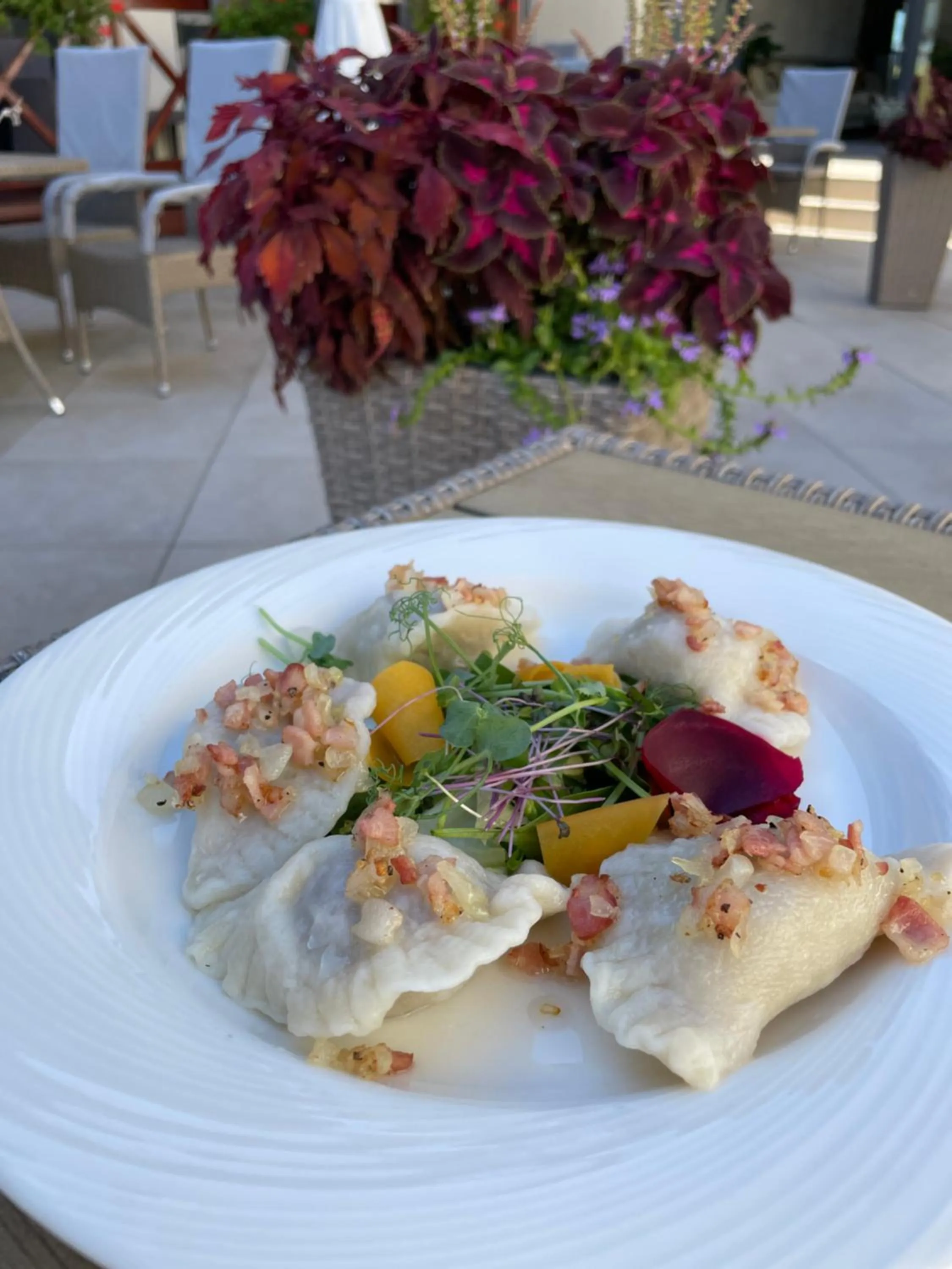 Restaurant/places to eat in Boutique Odyseja & Spa