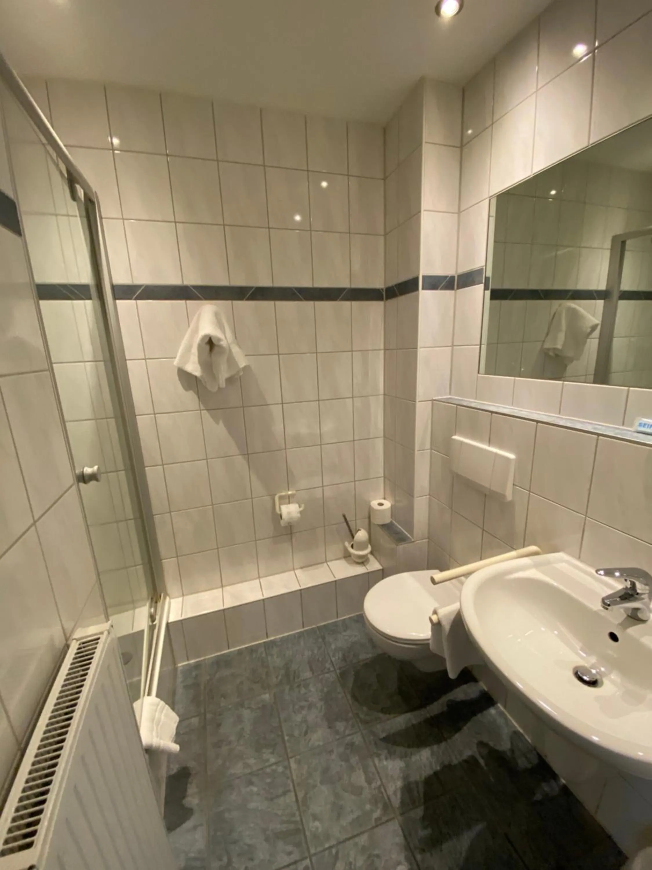 Toilet in Hotel Montan