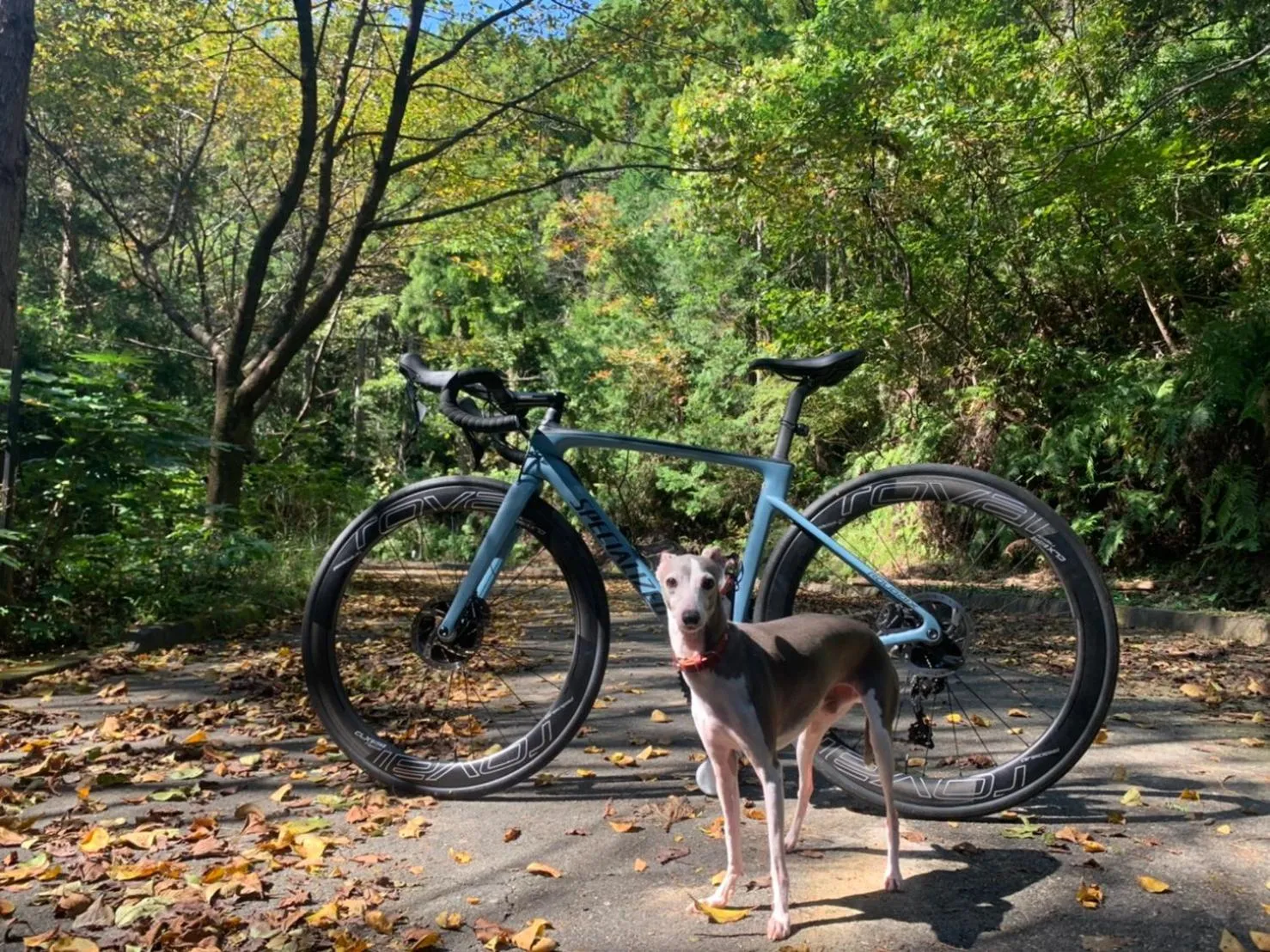 Nearby landmark in hanare