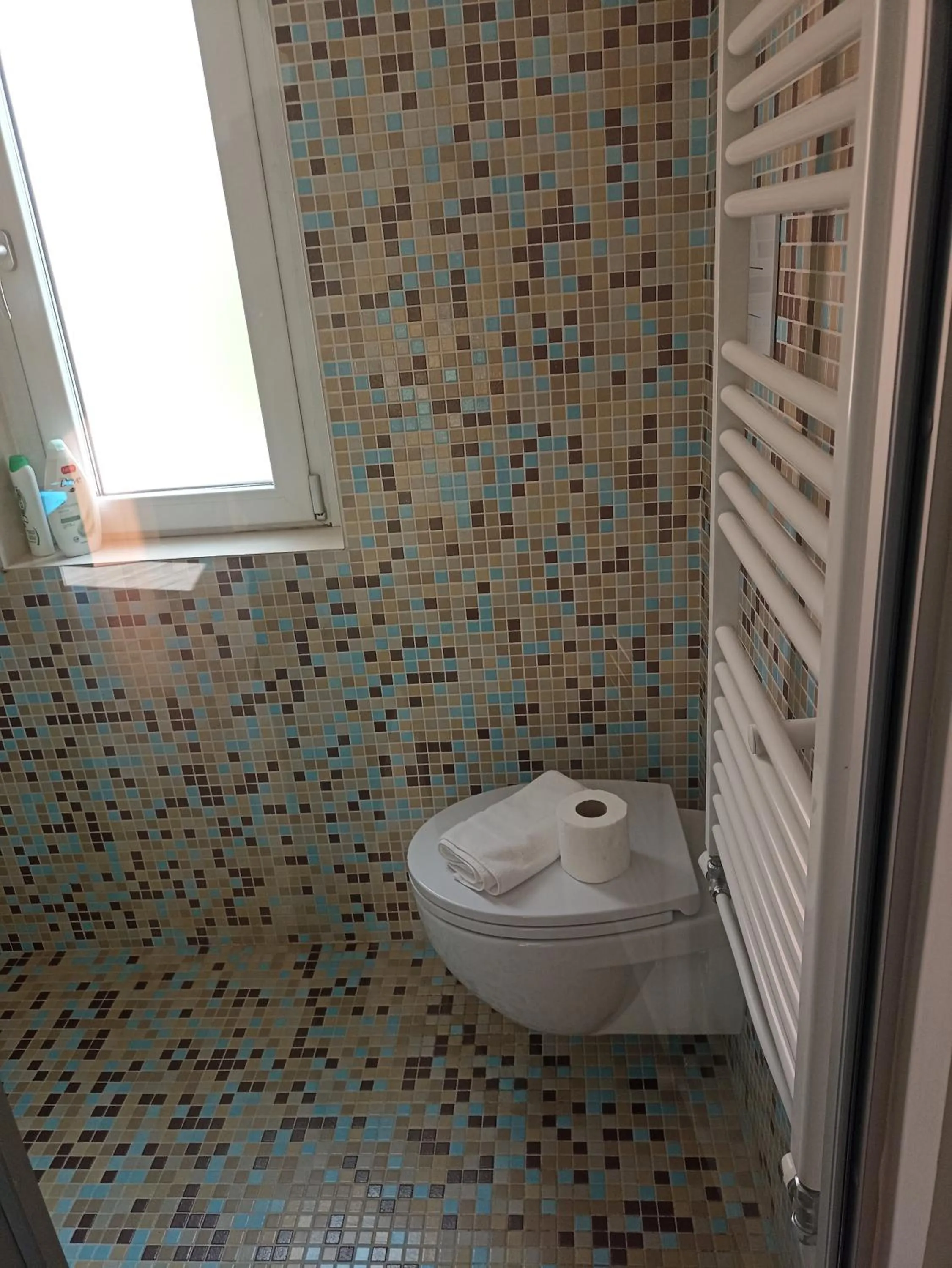 Toilet, Bathroom in open