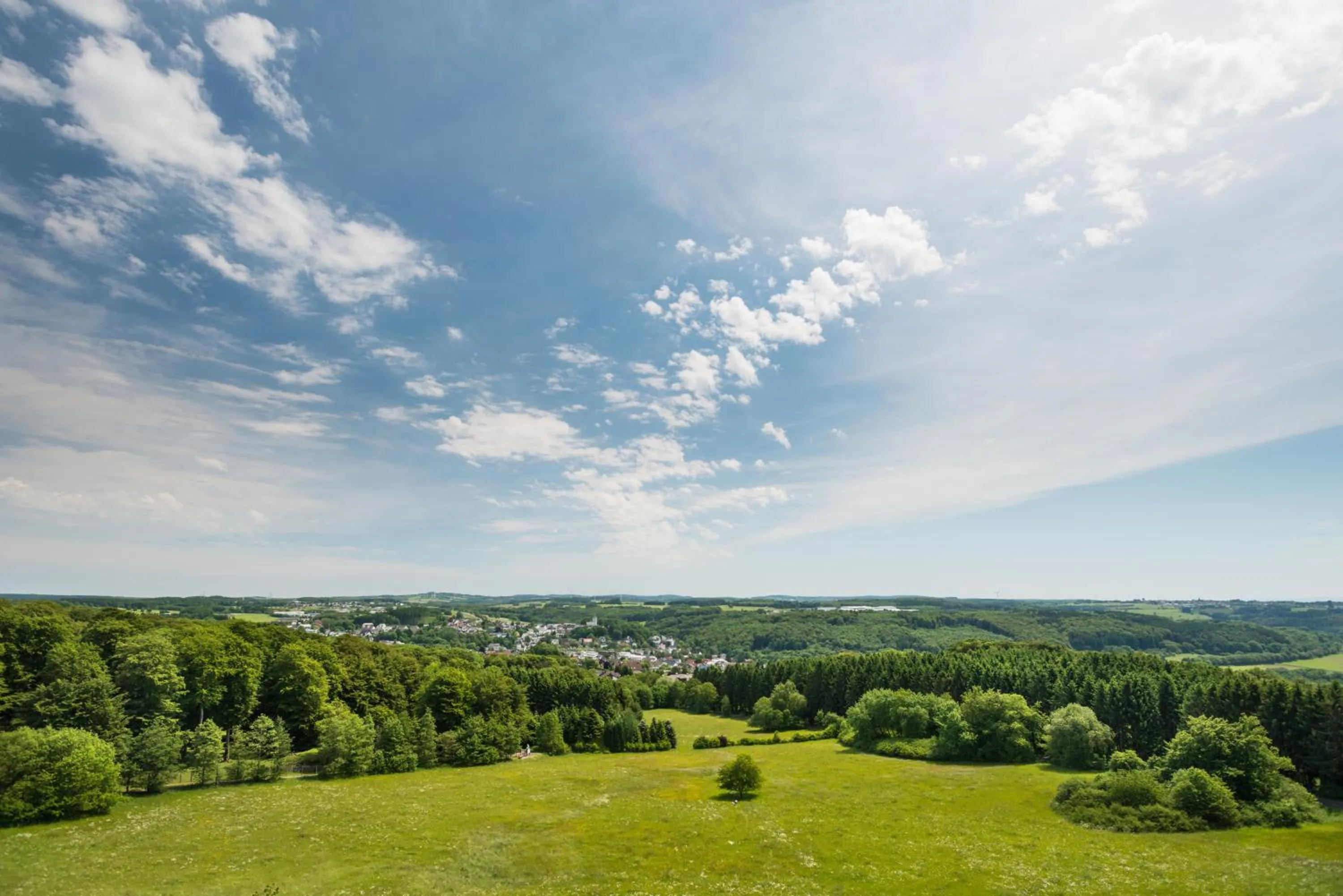 Natural landscape in Wildpark Hotel