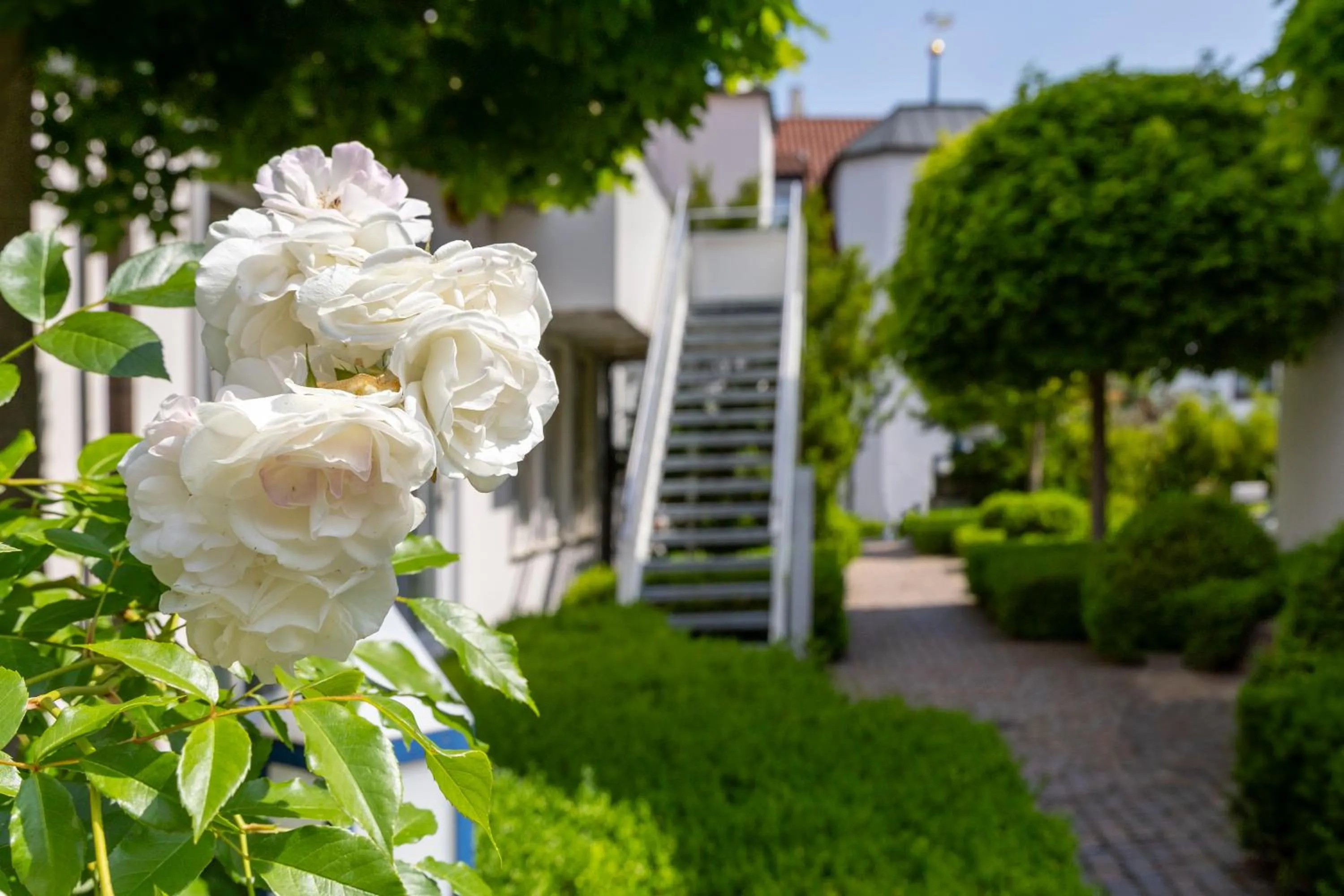 Patio in Hotel Alma Am Anger