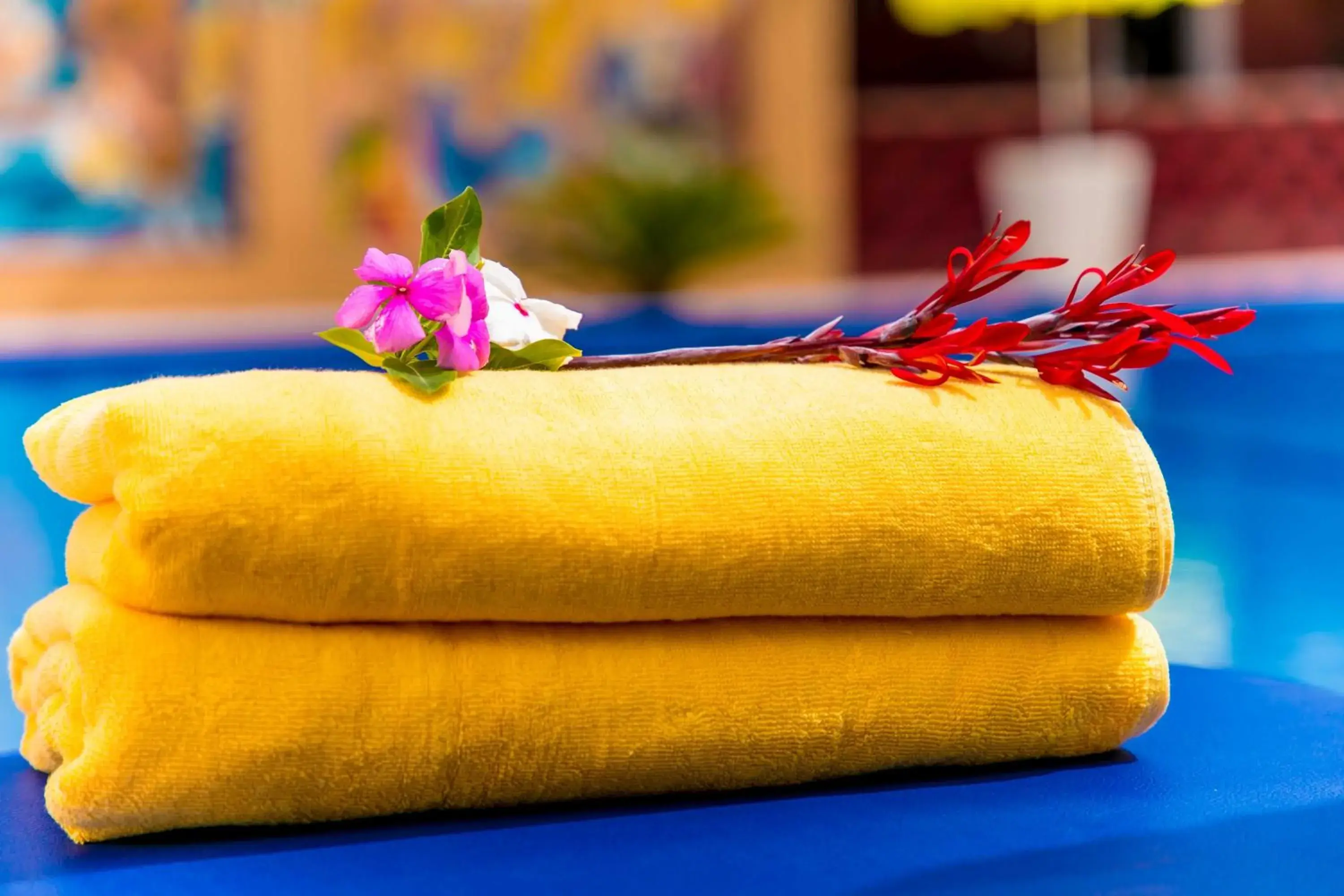 Food and drinks in Tropic Garden Hotel Food and drinks in Tropic Garden Hotel