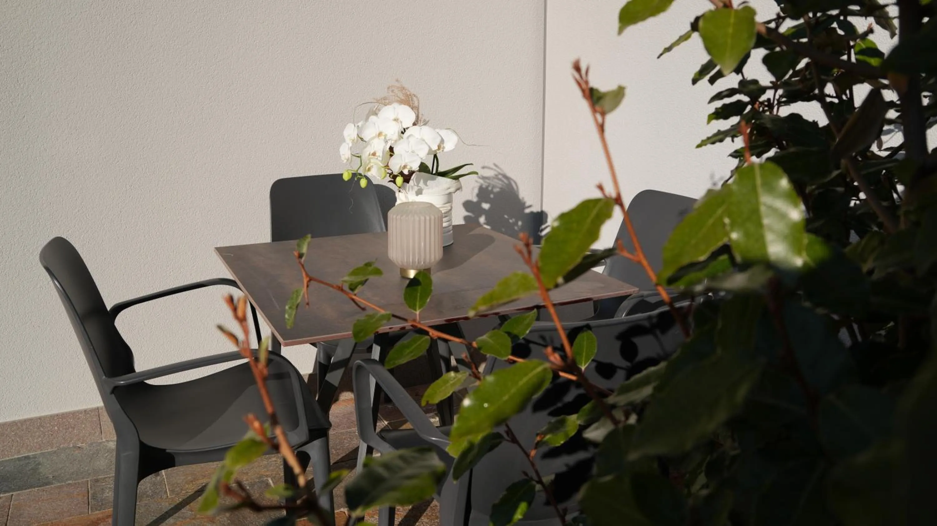 Garden view in Casa Maria Apartments