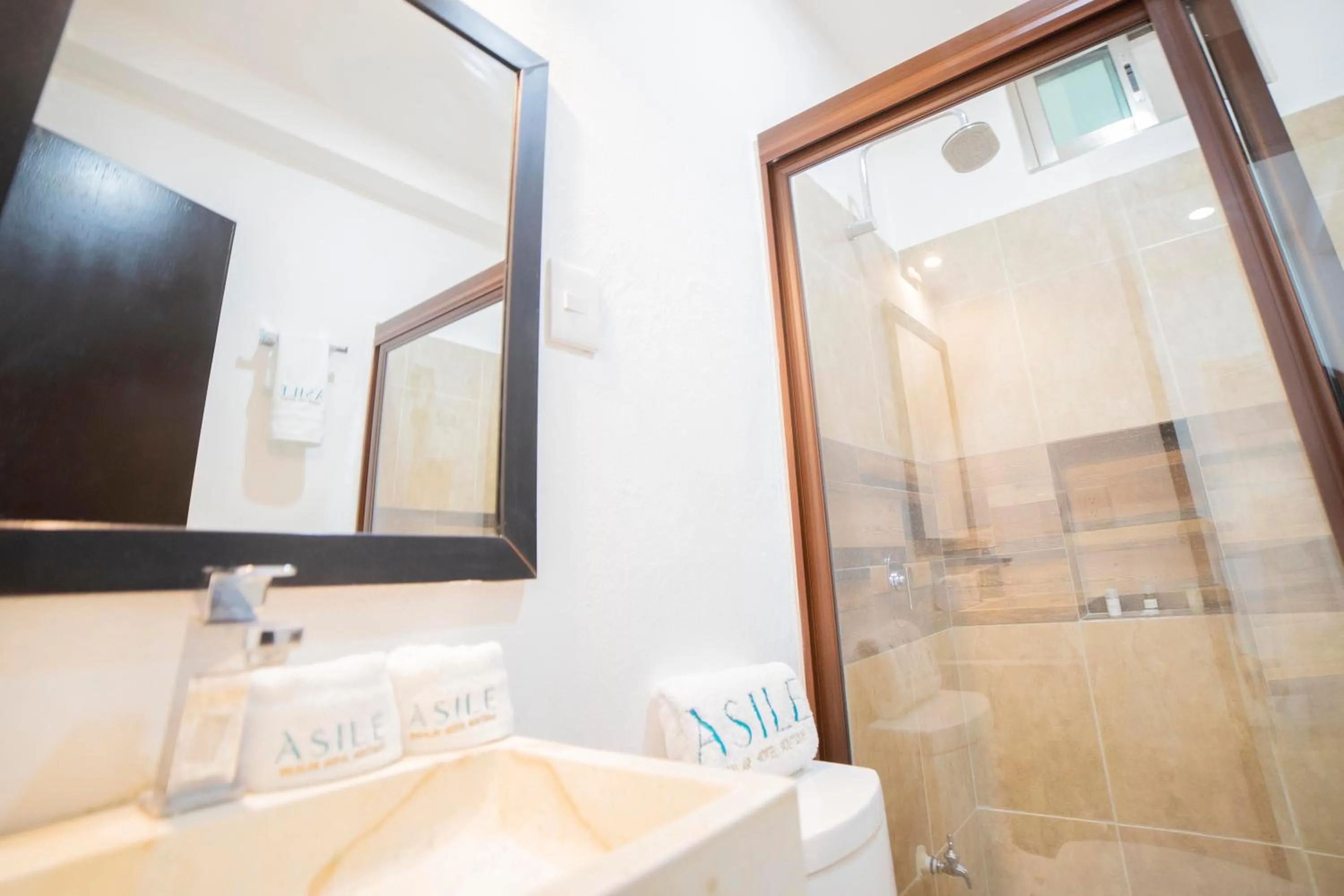 Shower in Asilé Hotel Boutique