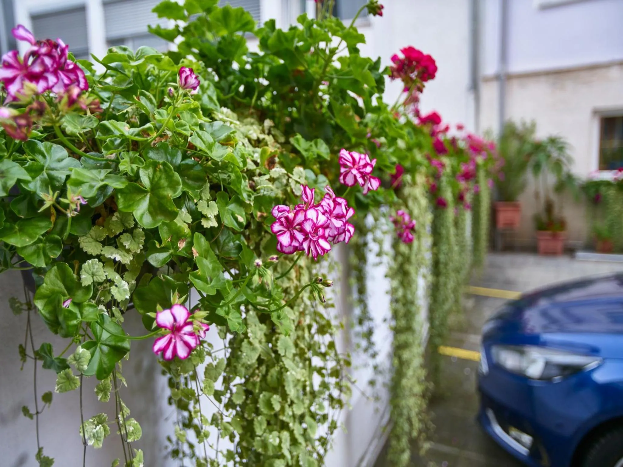 Patio in Hotel Alfa Zentrum