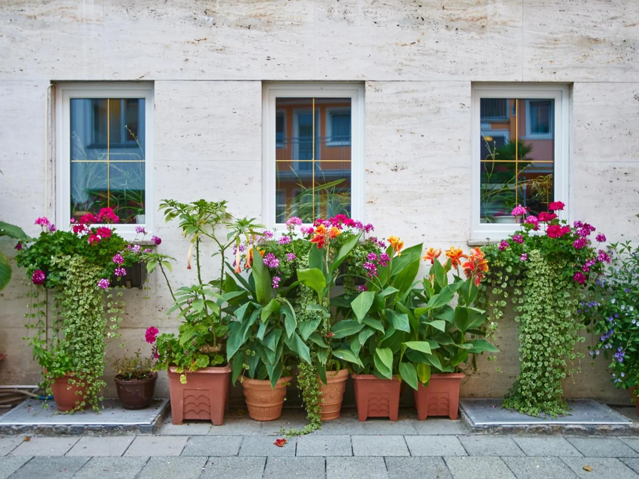 Patio in Hotel Alfa Zentrum