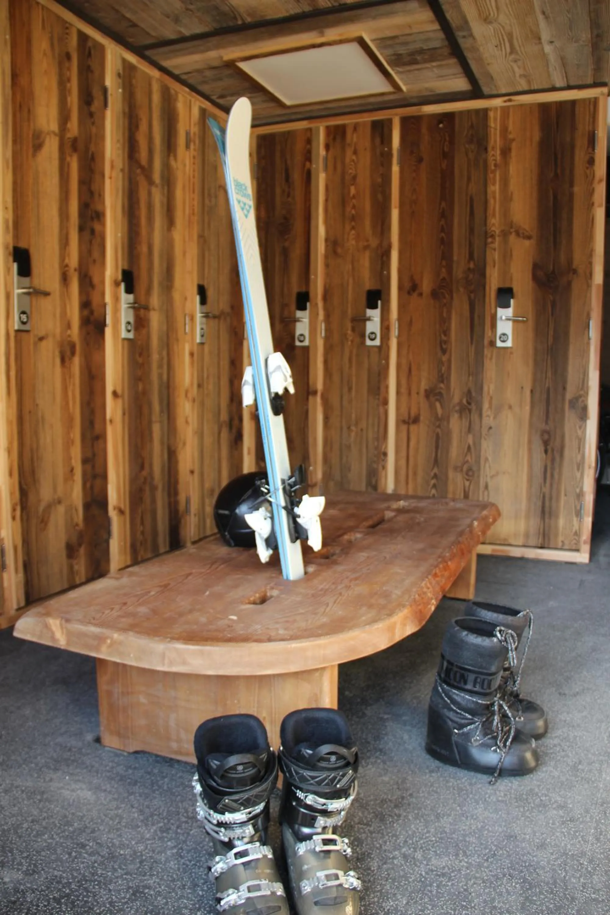 Skiing in Hotel Le V de Vaujany