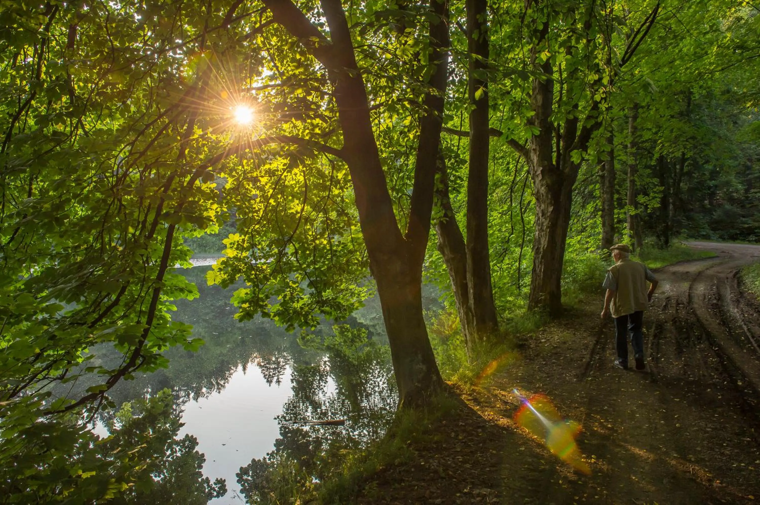 Hiking in Hotel im Auerbachtal