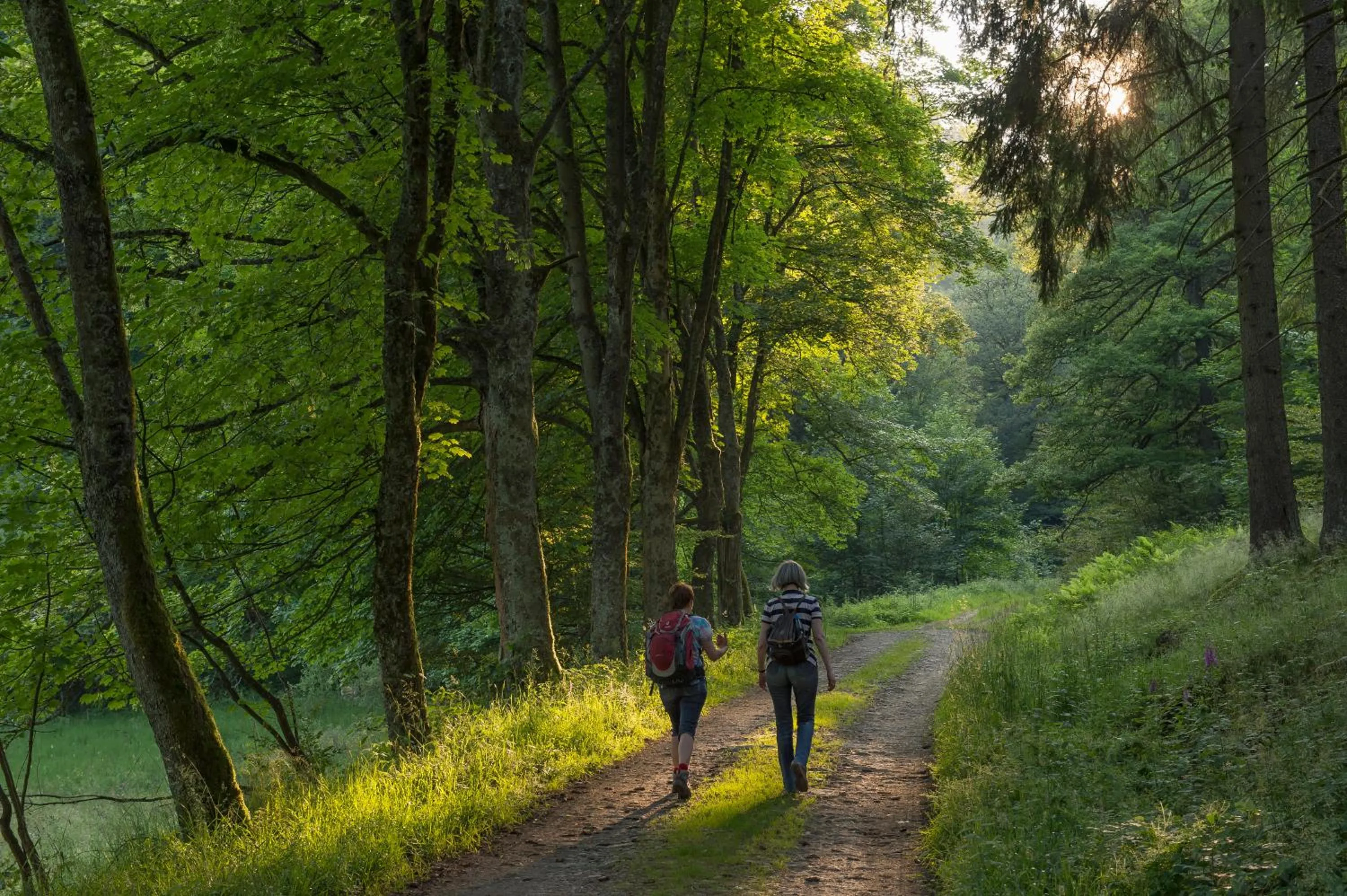 Hiking in Hotel im Auerbachtal