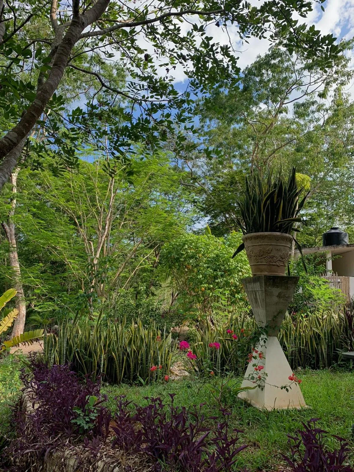 Spring in El Encanto - Hotel Boutique