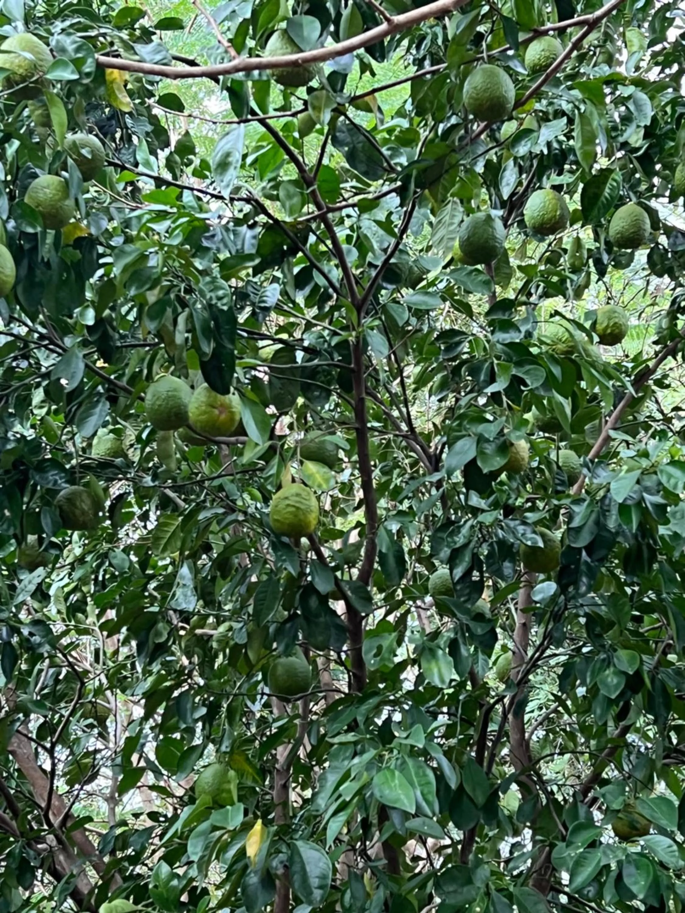 Spring in El Encanto - Hotel Boutique