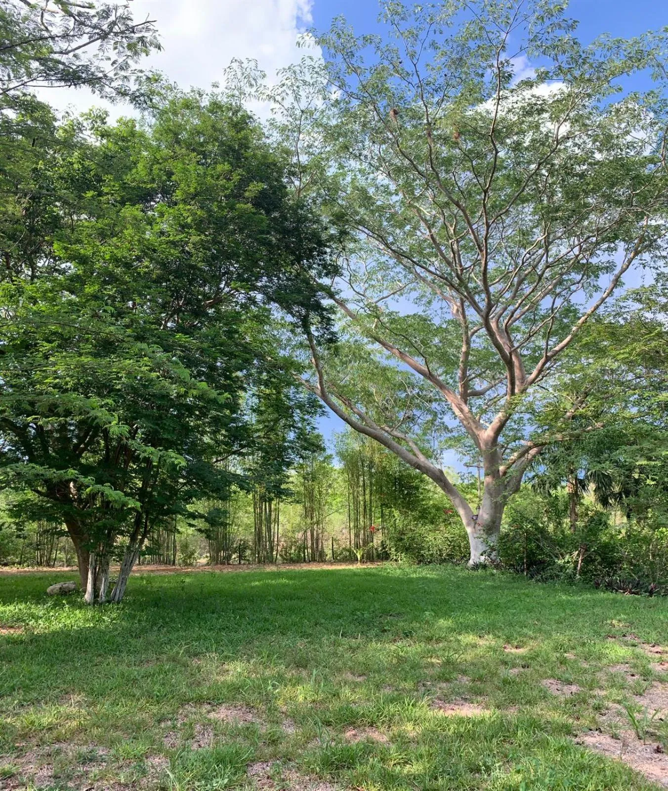 Spring in El Encanto - Hotel Boutique