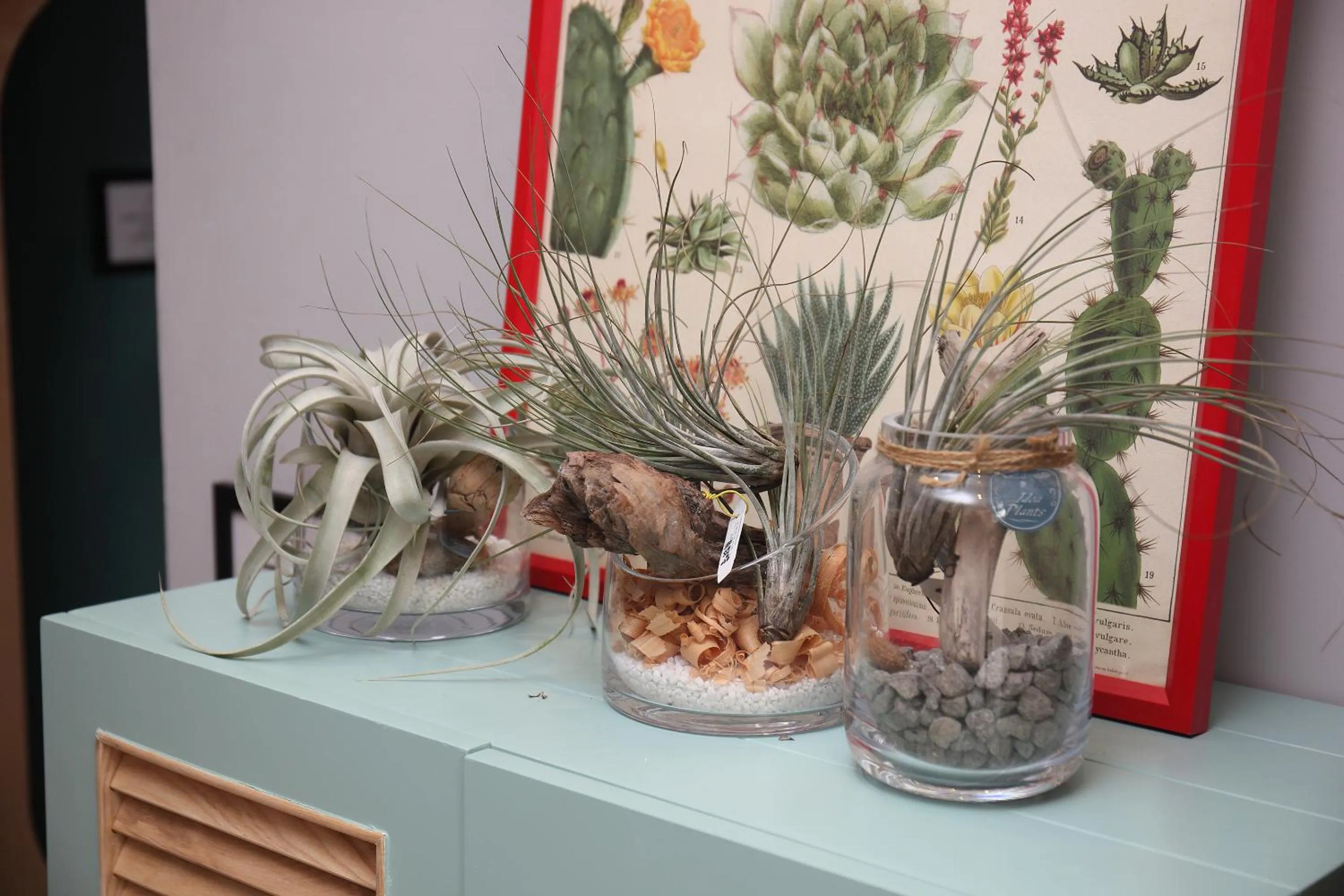 Lobby or reception in Spring Guest House