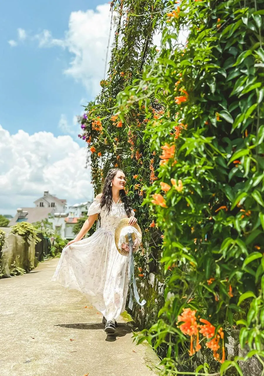 Natural landscape in HOMESTAY THÙY DƯƠNG