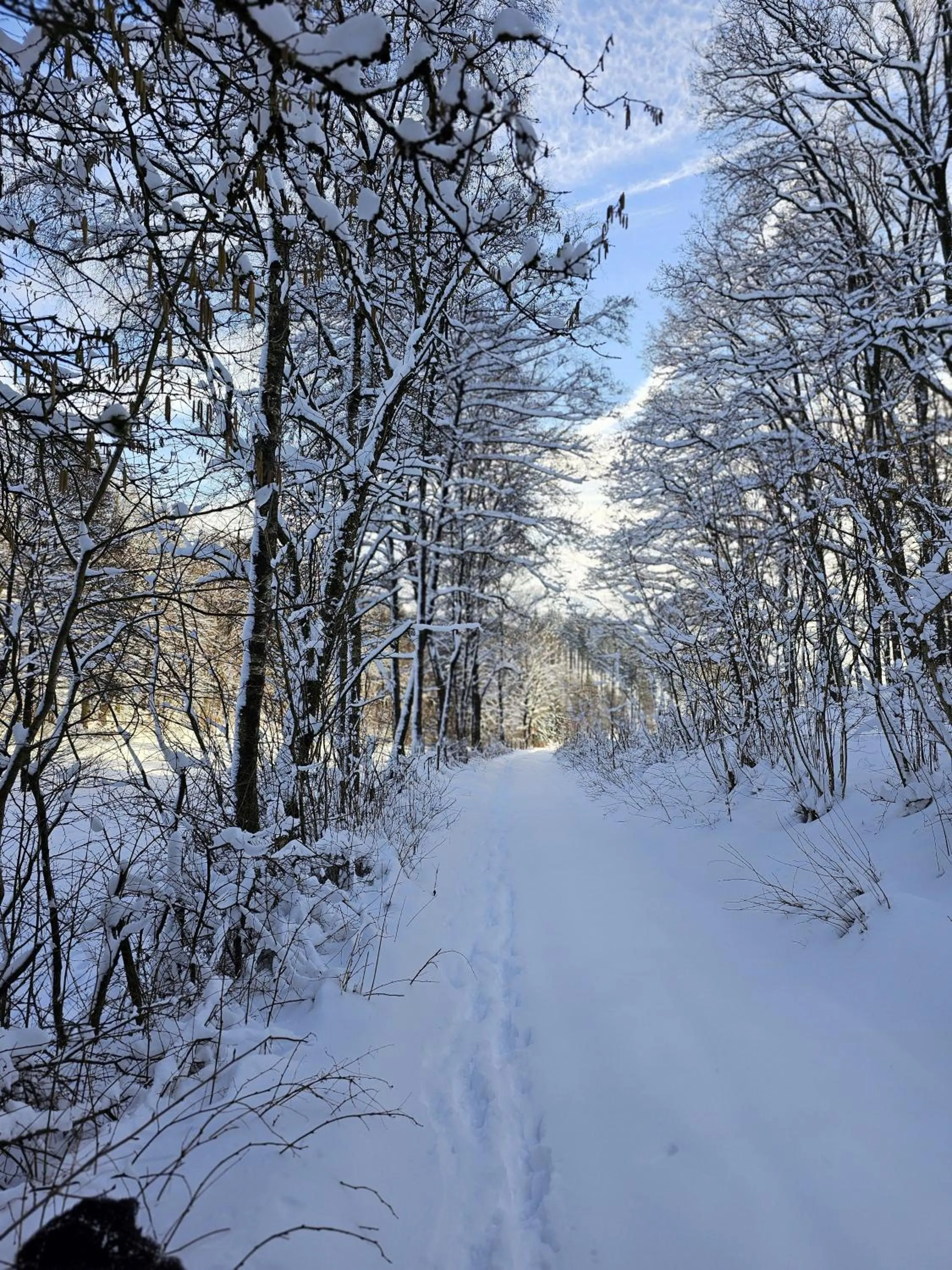 Natural landscape in Landhotel Halbfas-Alterauge