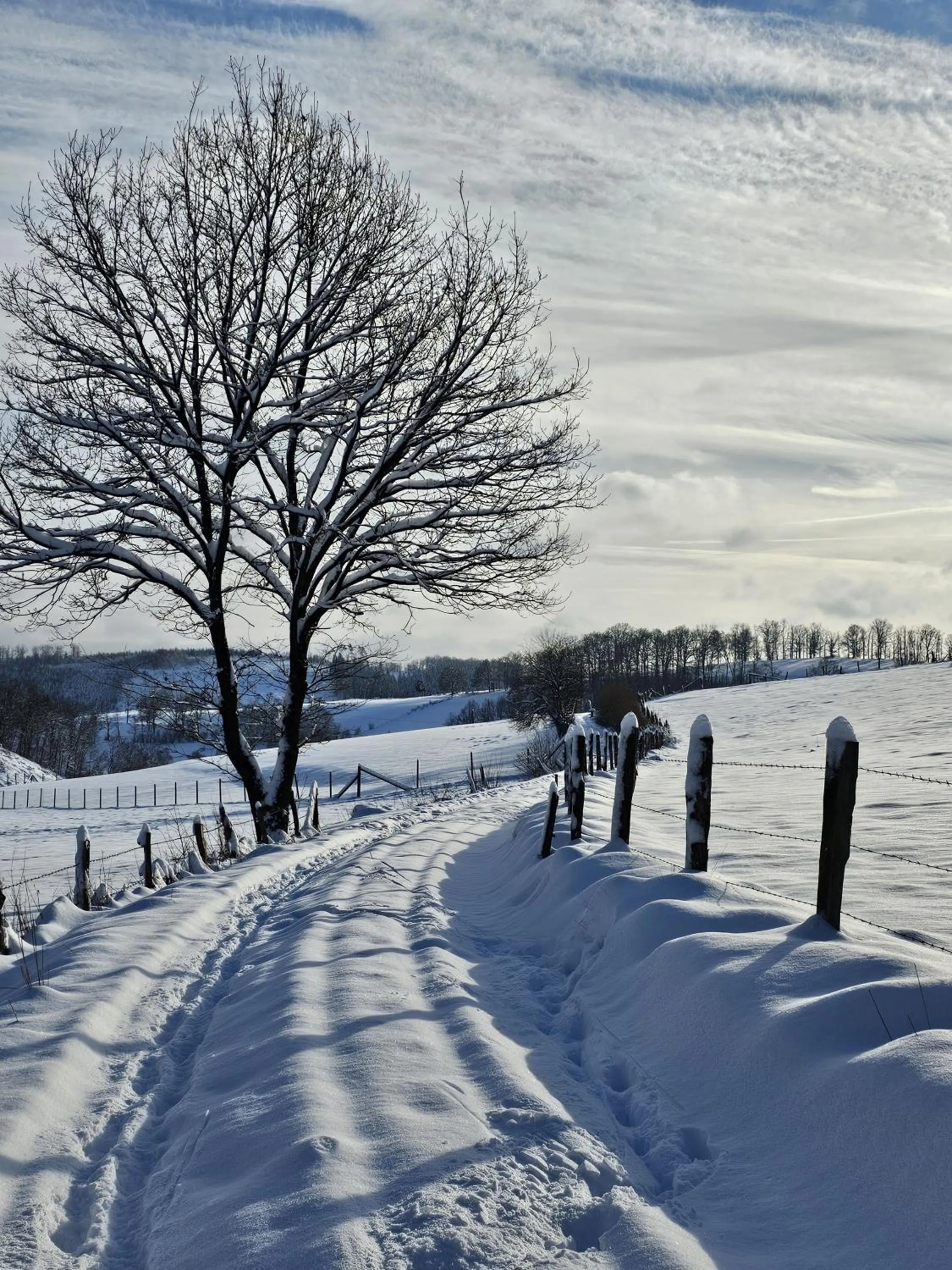 Natural landscape in Landhotel Halbfas-Alterauge
