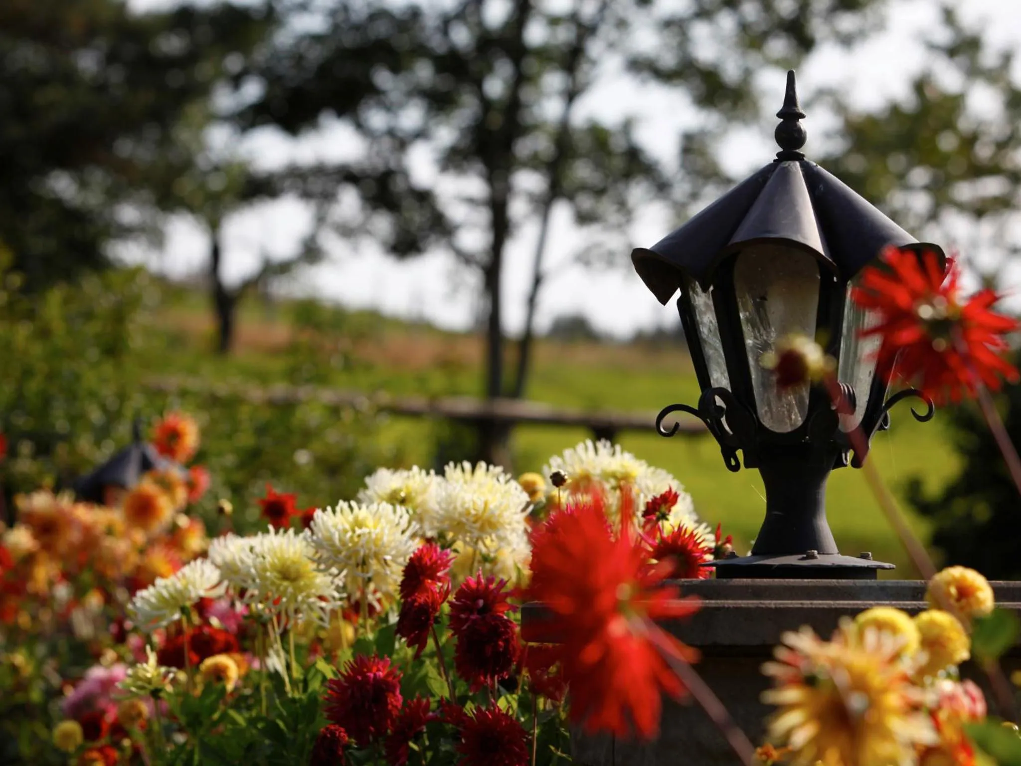 Day in Landhotel Halbfas-Alterauge