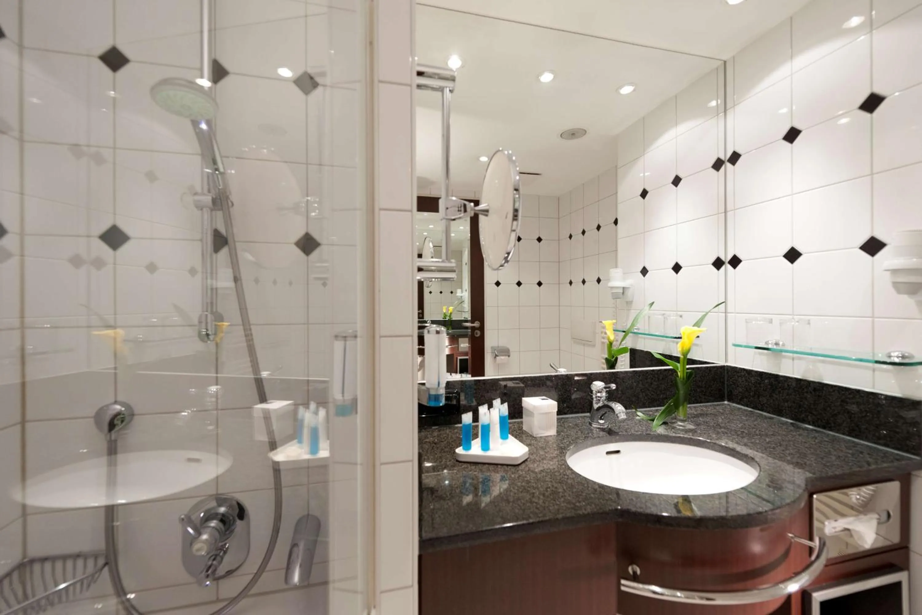 Bathroom in Dorint Am Goethepark Weimar