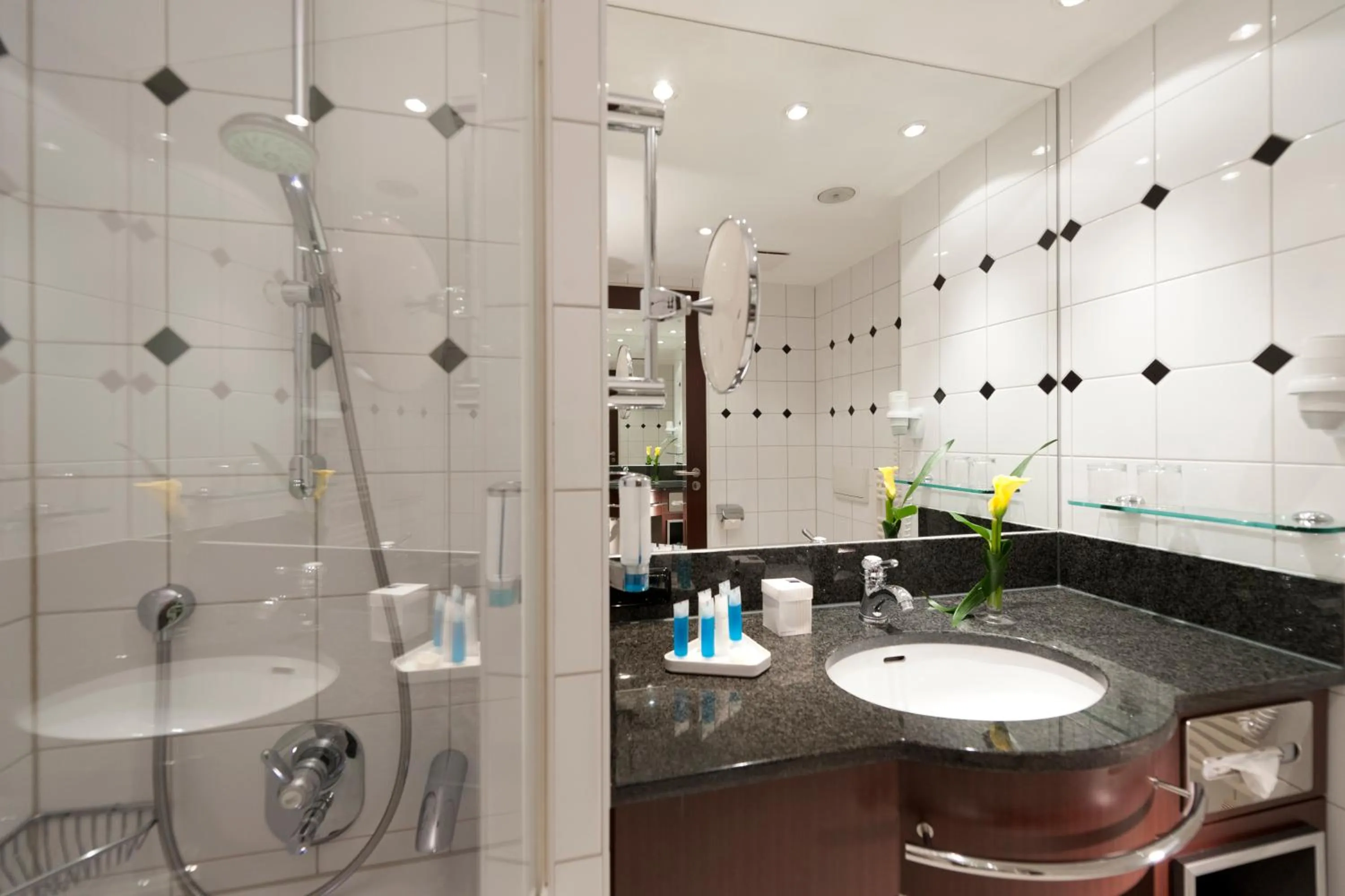 Bathroom in Dorint Am Goethepark Weimar